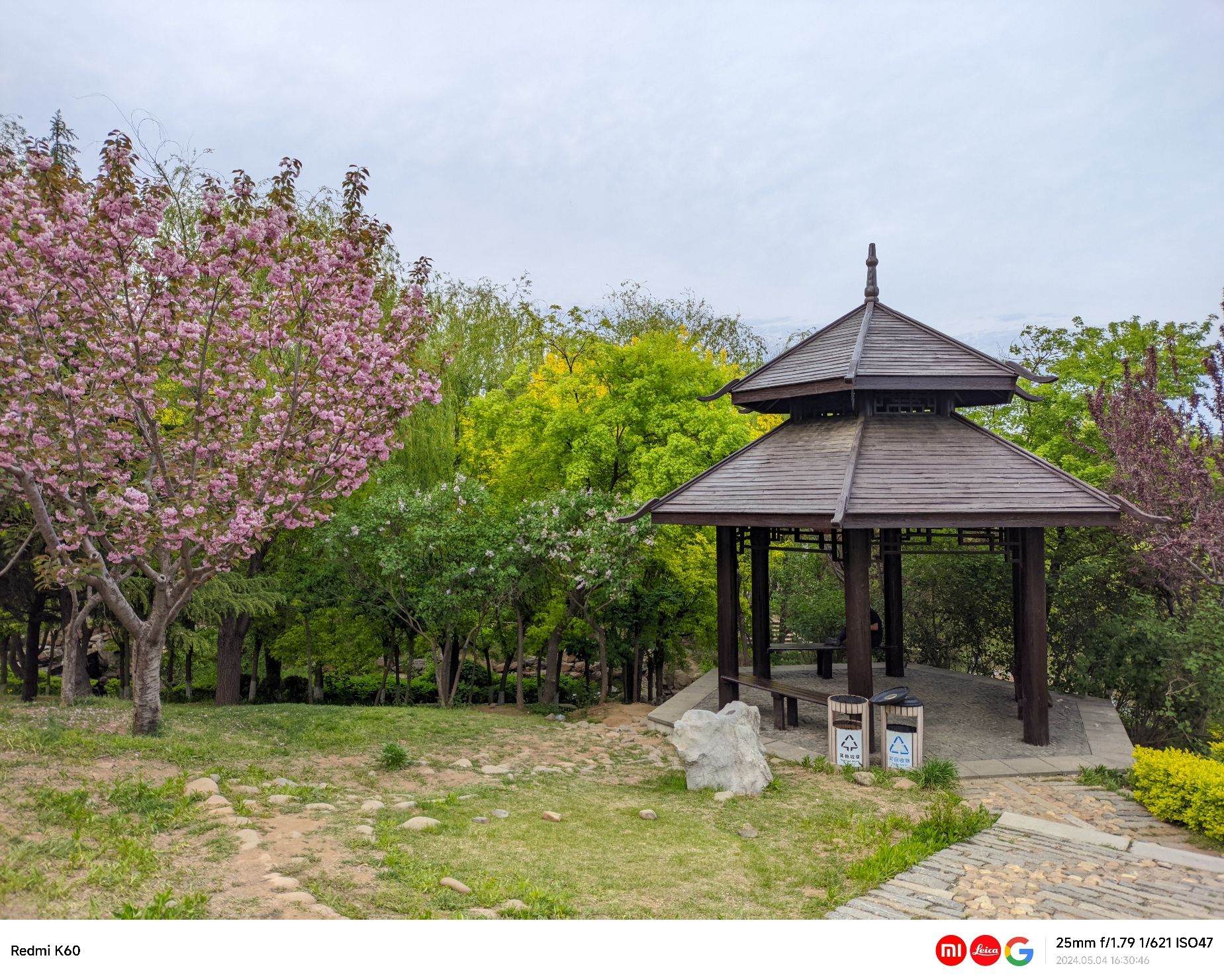 董家沟植物公园旅行图片 3