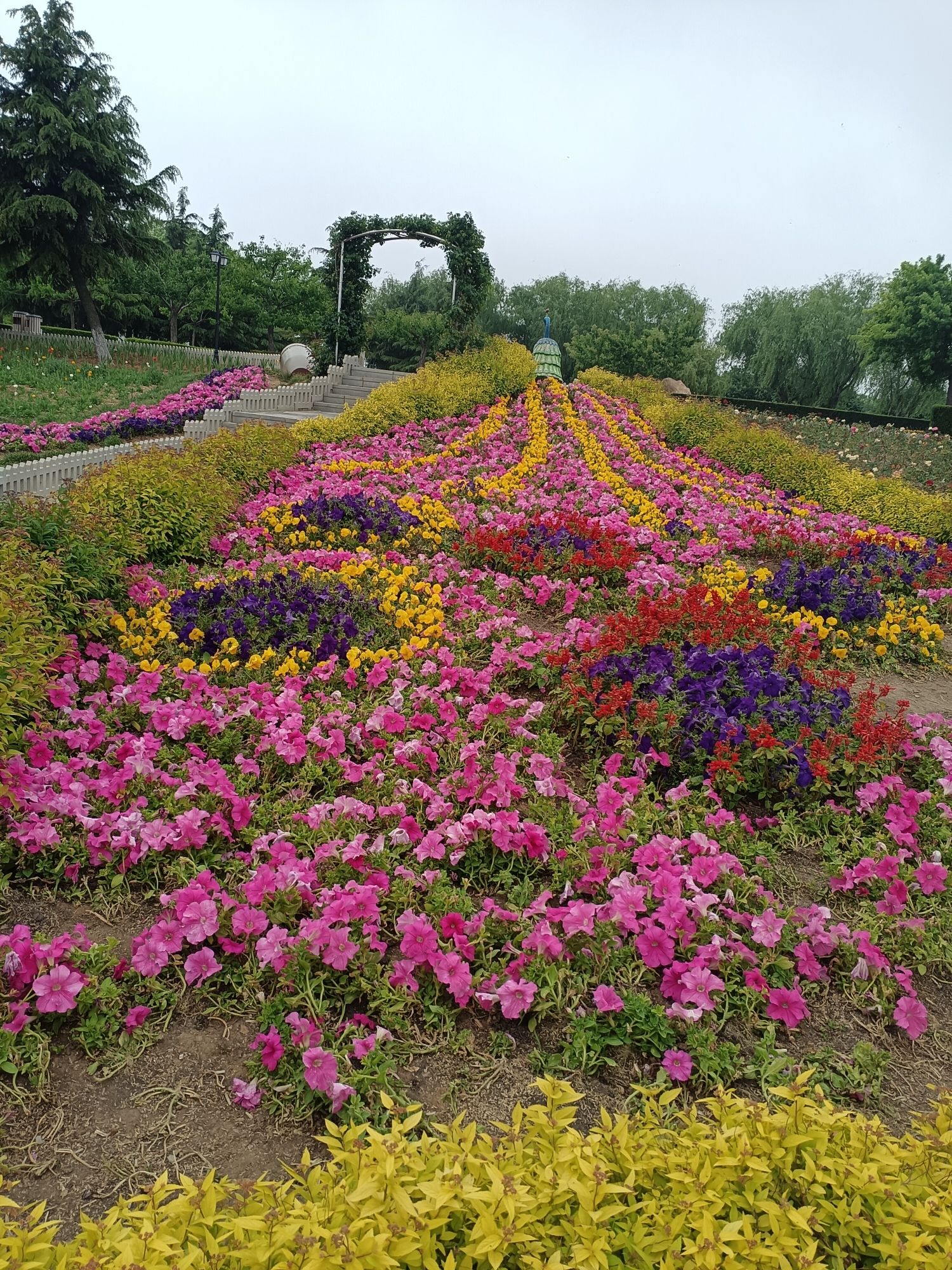 董家沟植物公园旅行图片 3