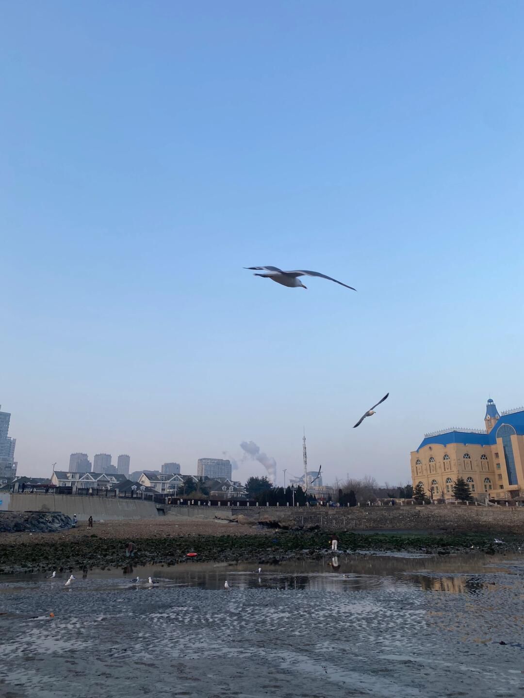 黑石礁广场旅行图片 3
