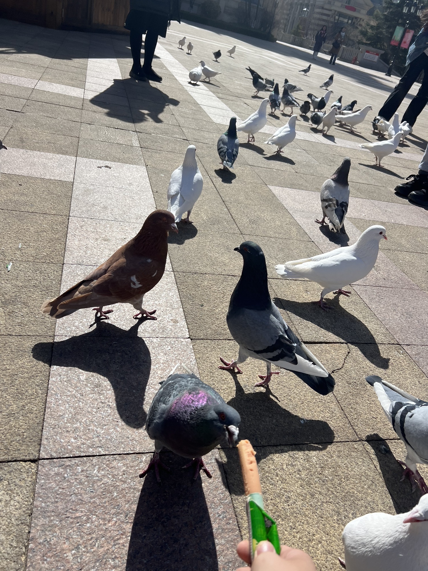 海昌·东方水城旅行图片 3