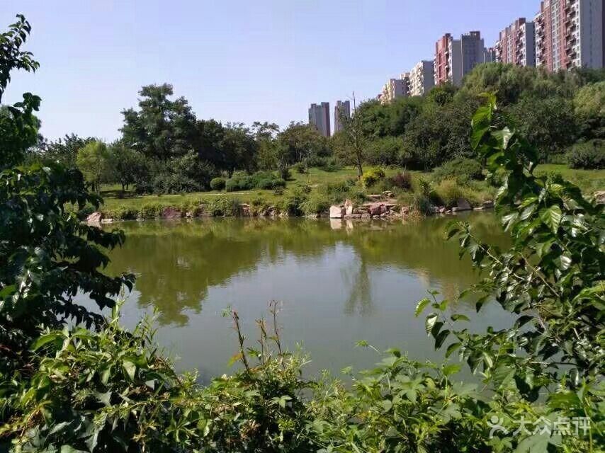 永乐公园旅行图片 1