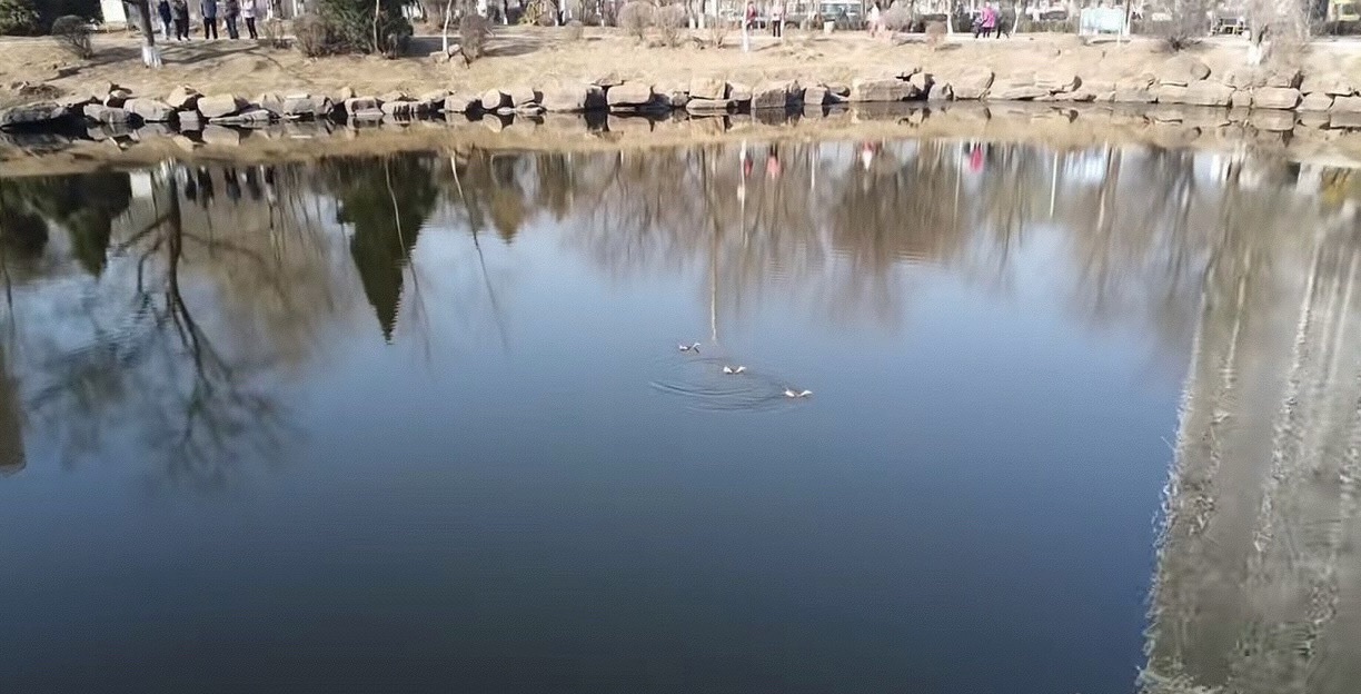 永乐公园旅行图片 3