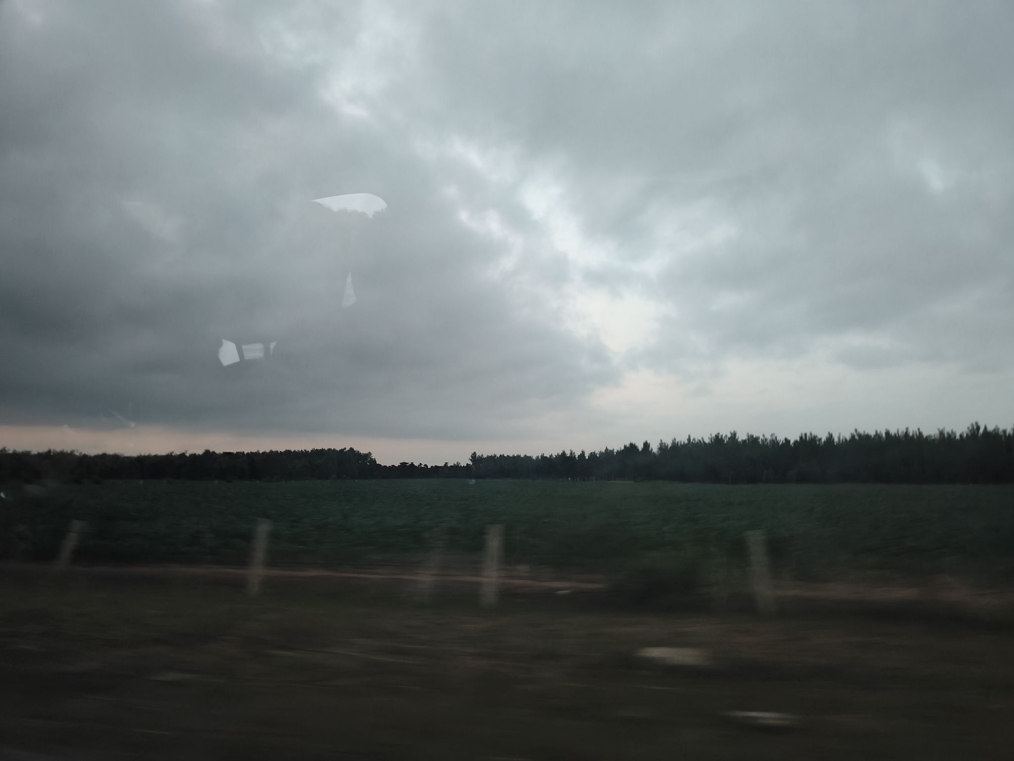 西平森林公园旅行图片 1