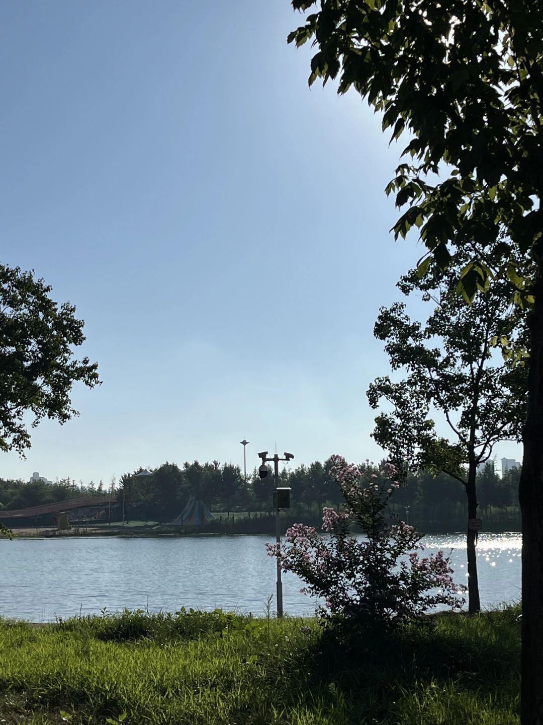 西平森林公园旅行图片 3
