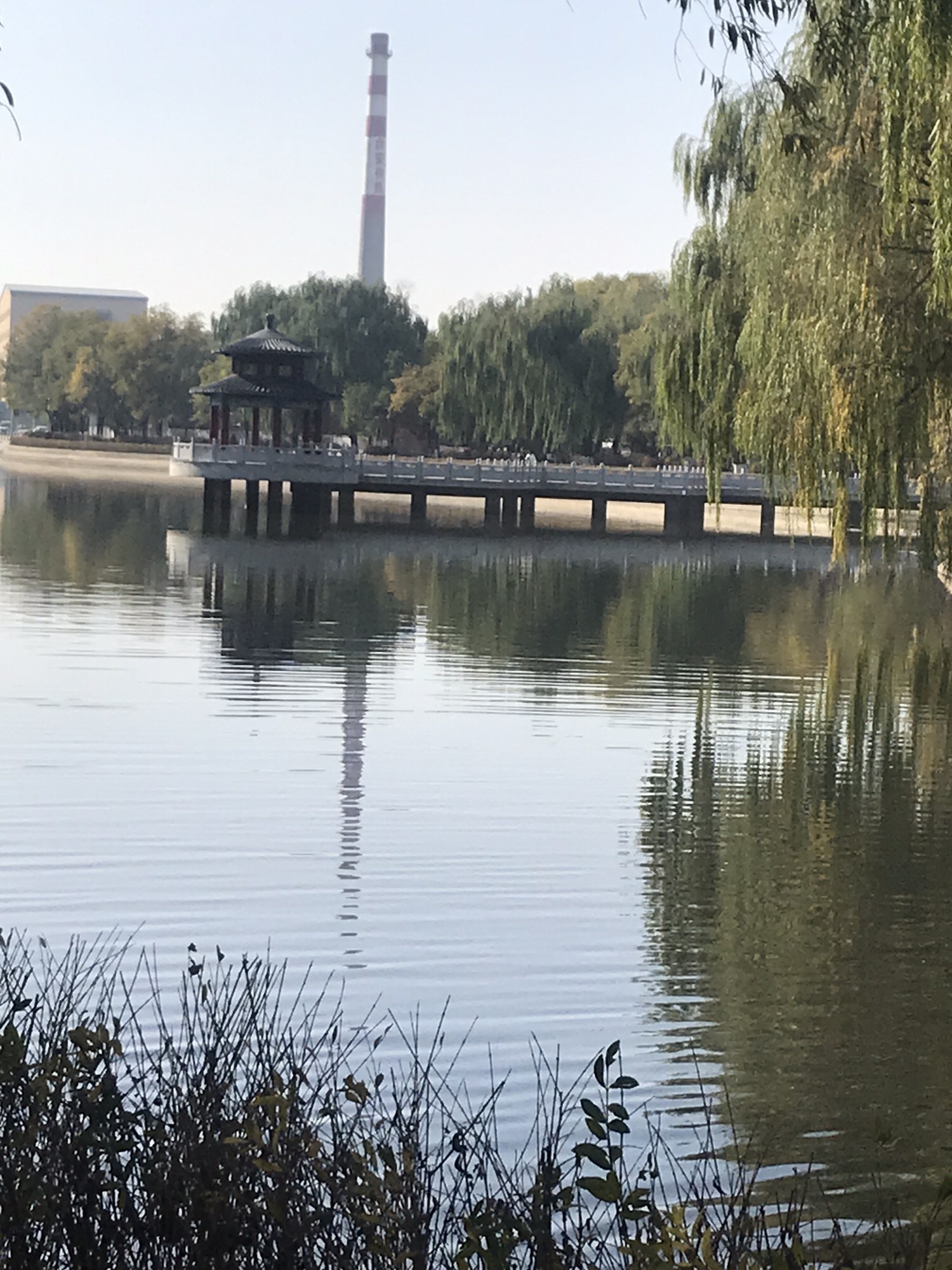 台安县公园旅行图片 3