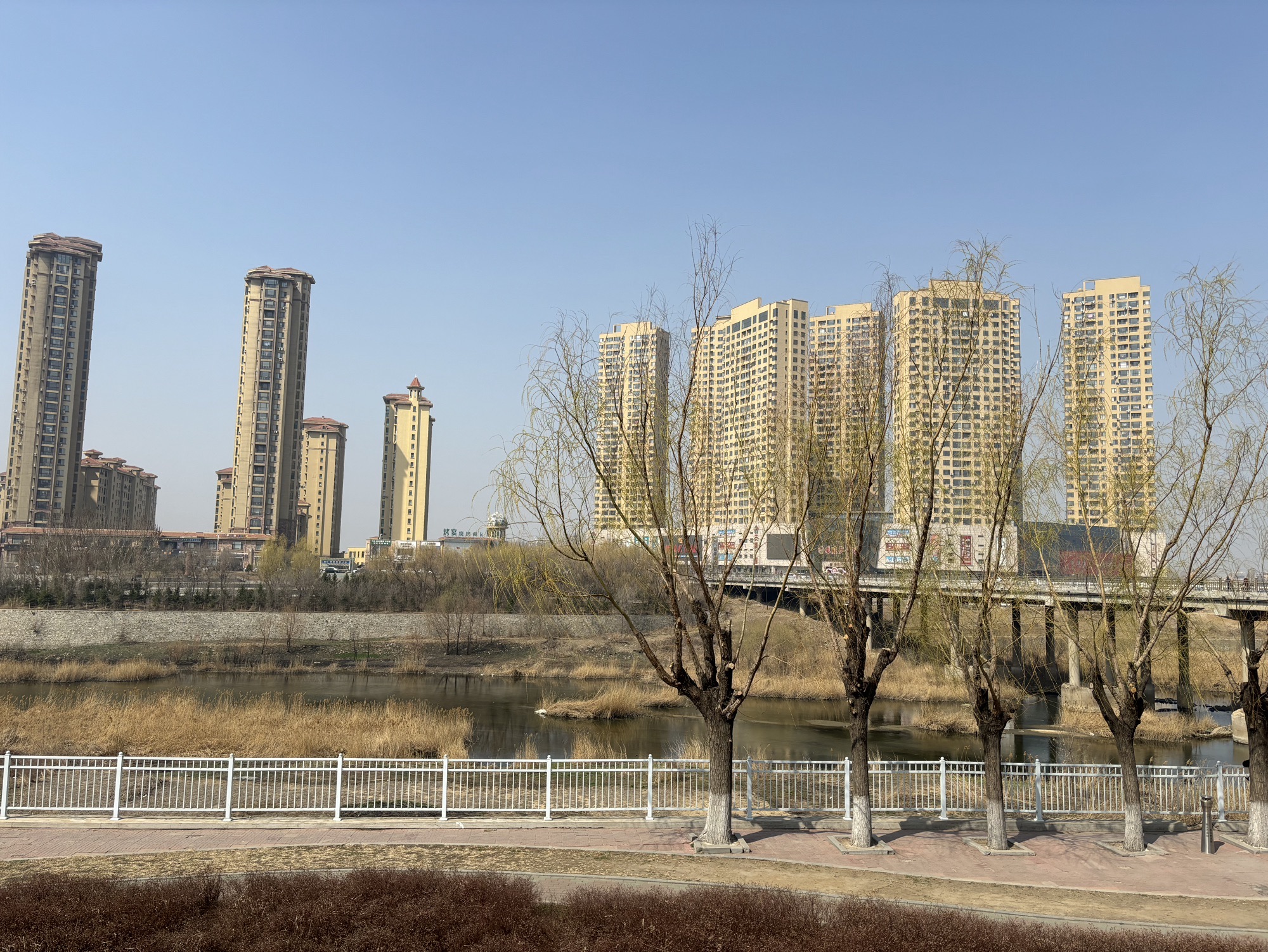 河滨公园旅行图片 1