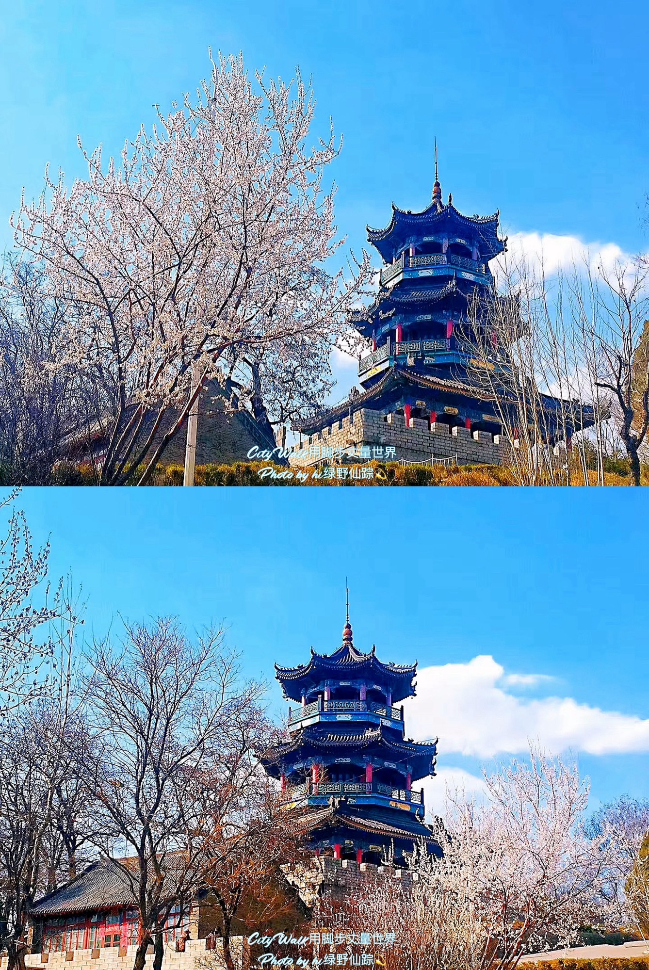 厝石山公园旅行图片 2