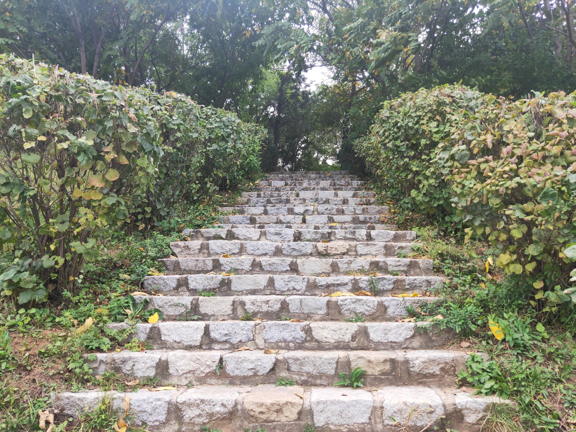 香山公园旅行图片 3