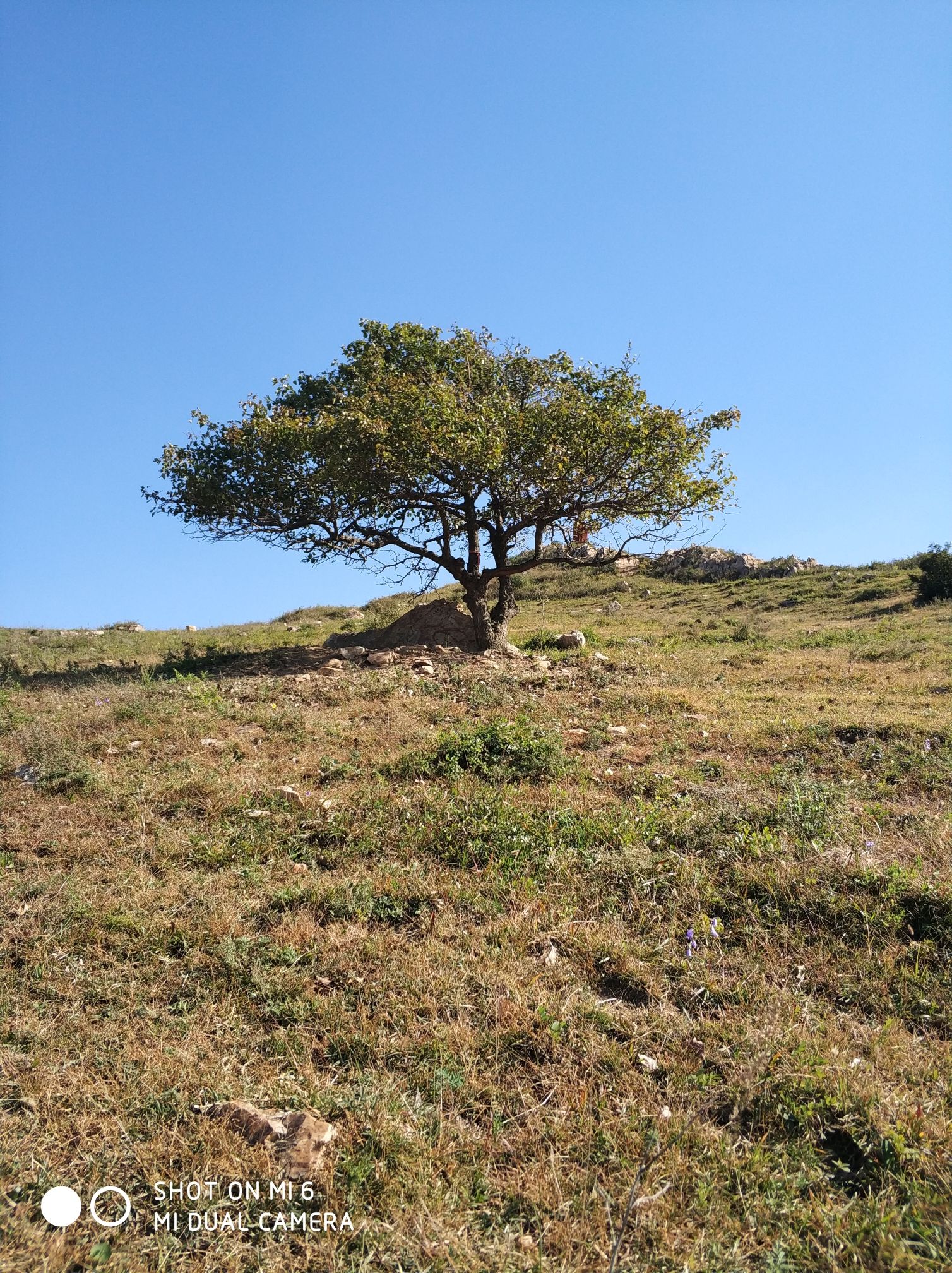 双龙山旅游景区旅行图片 3