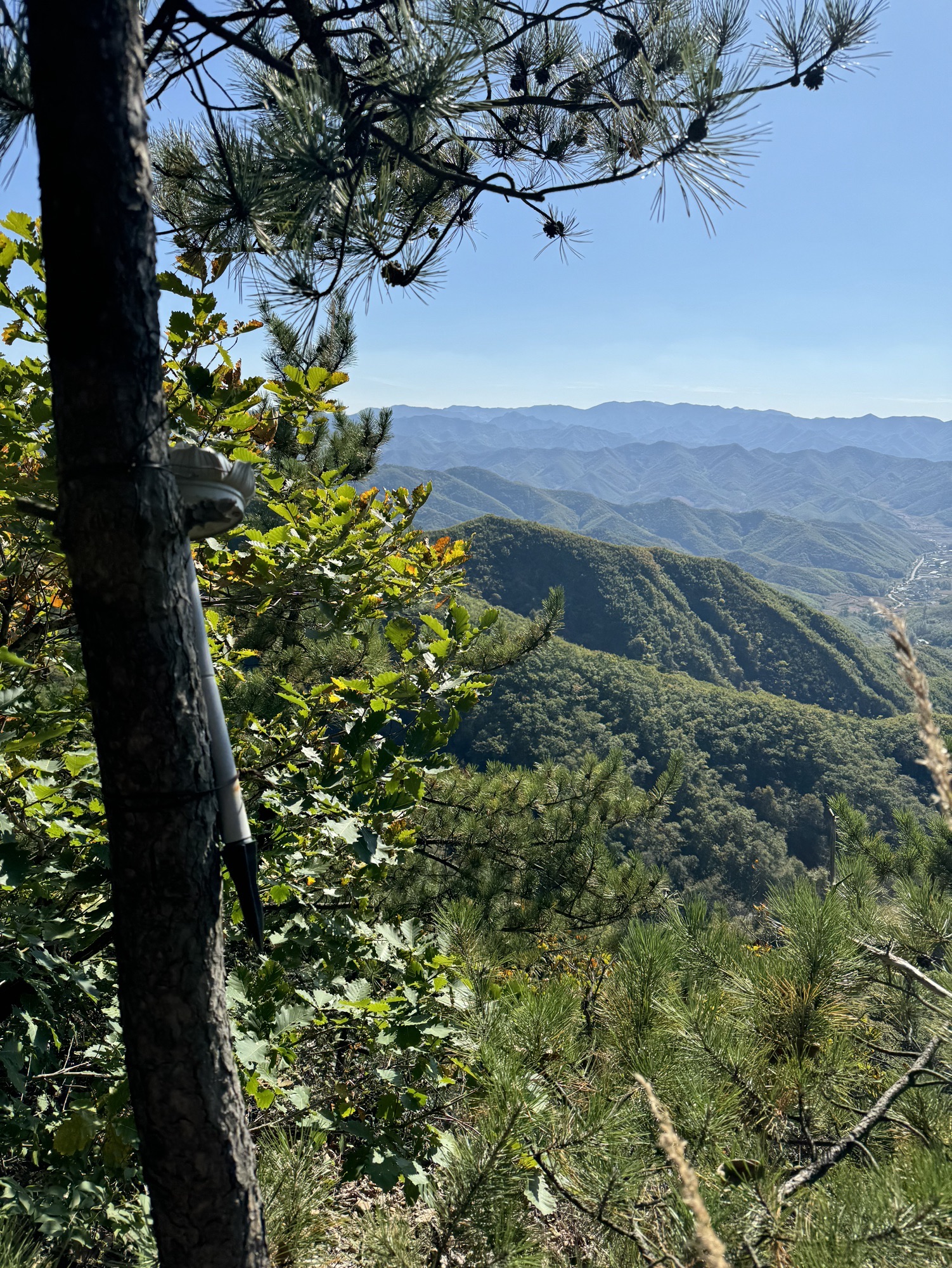 白云山风景区(暂停开放)旅行图片 2