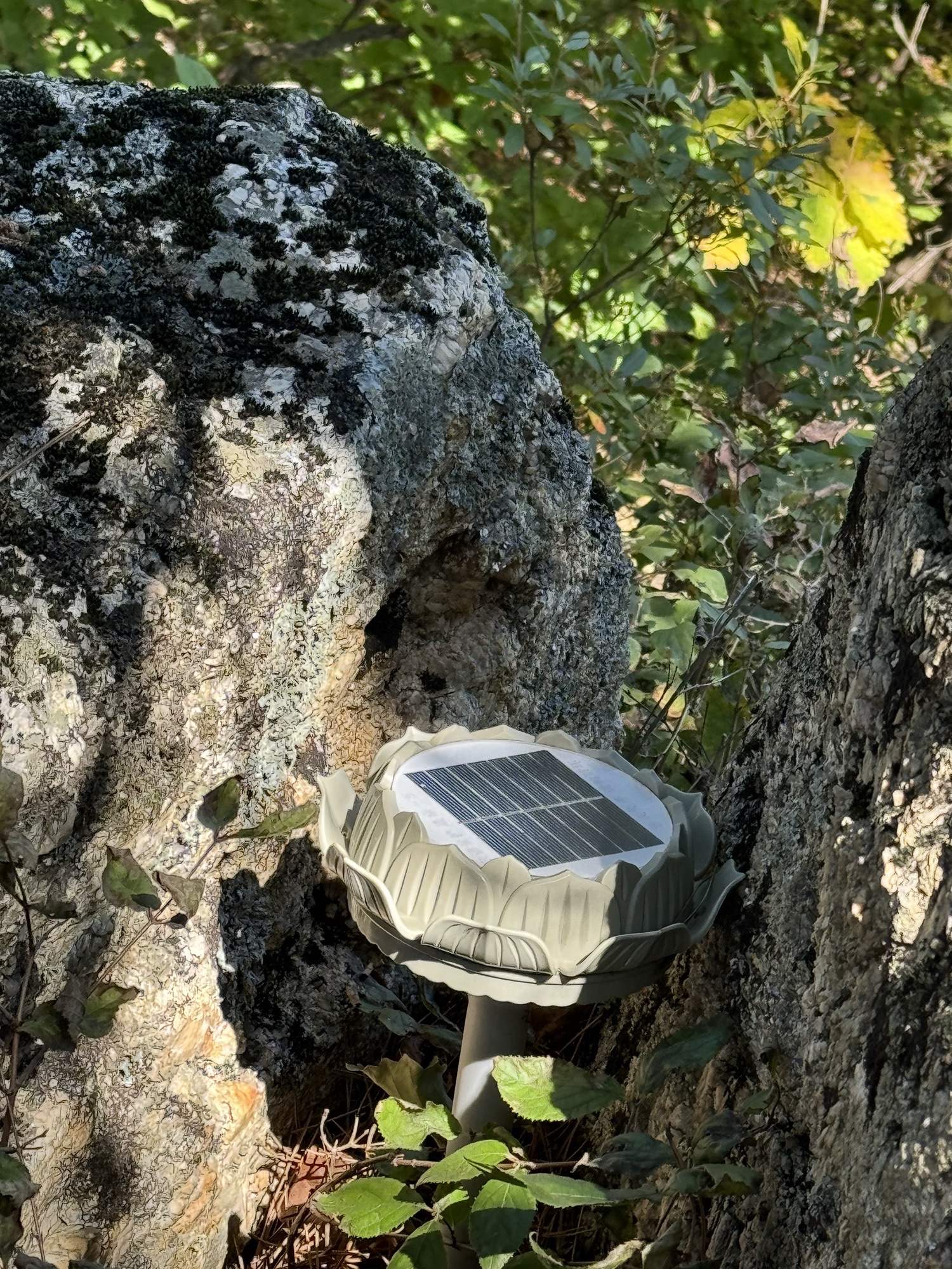 白云山风景区(暂停开放)旅行图片 3