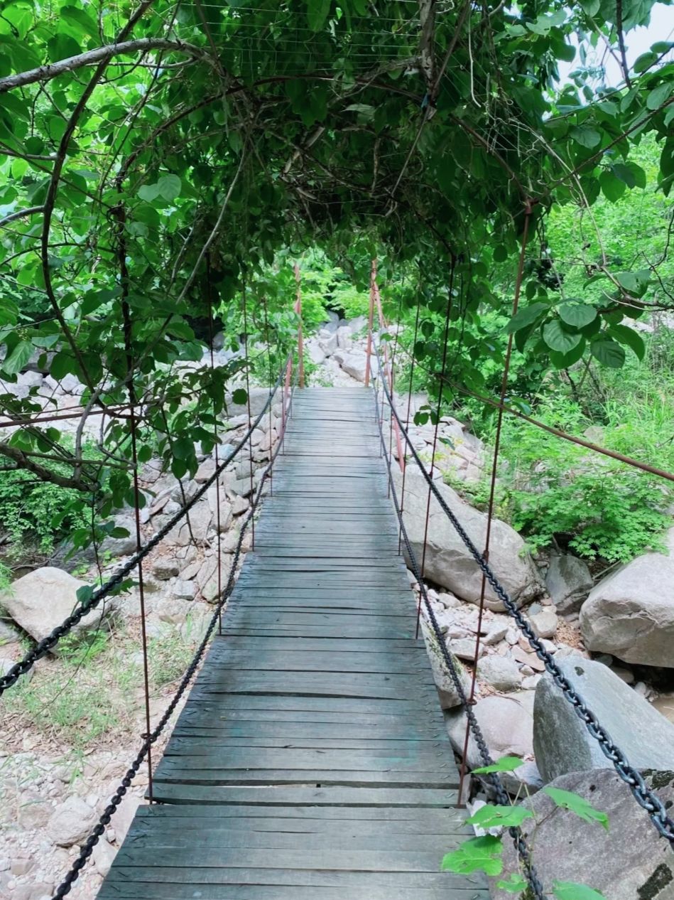 龙潭湾风景区(暂停开放)旅行图片 3