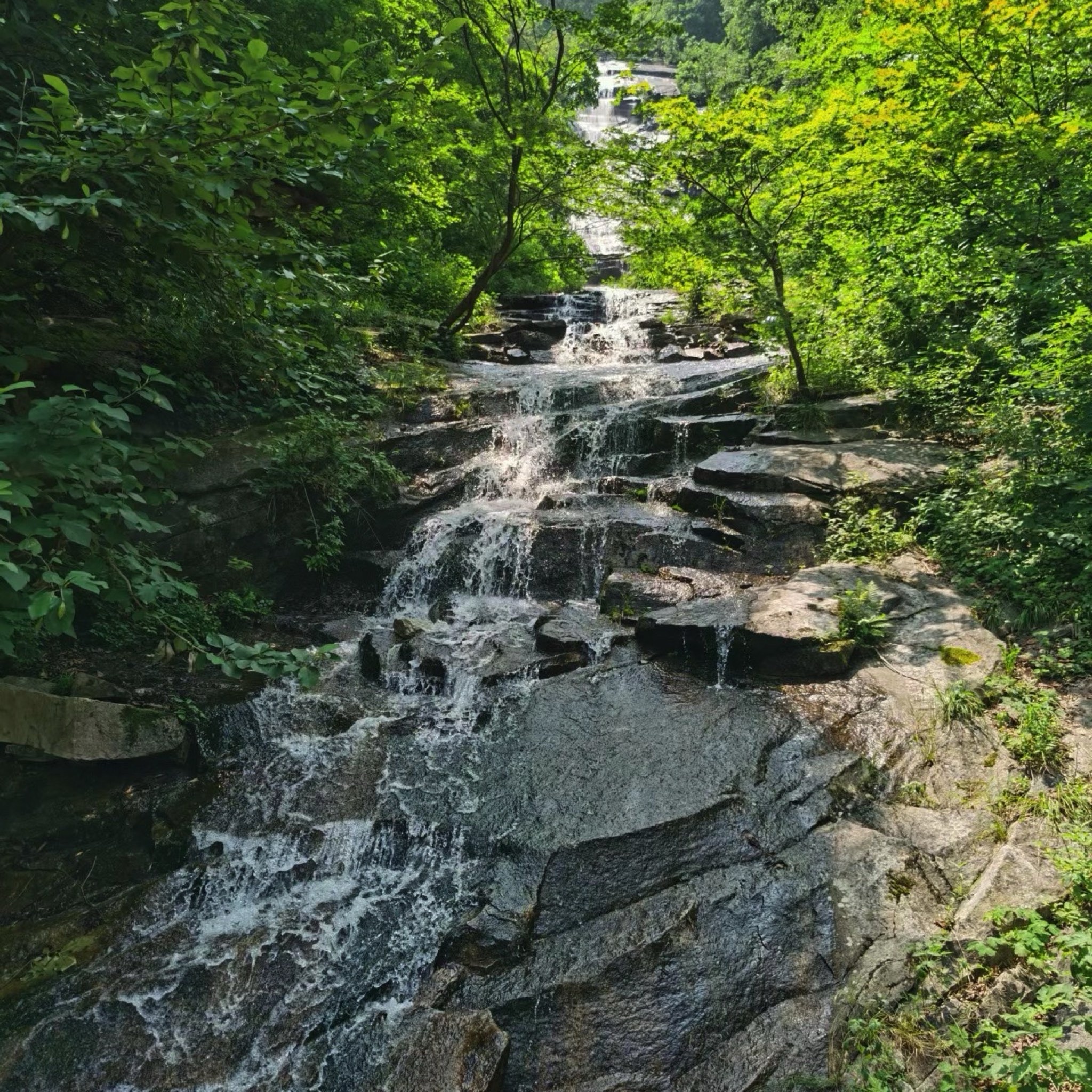龙潭湾风景区(暂停开放)旅行图片 1