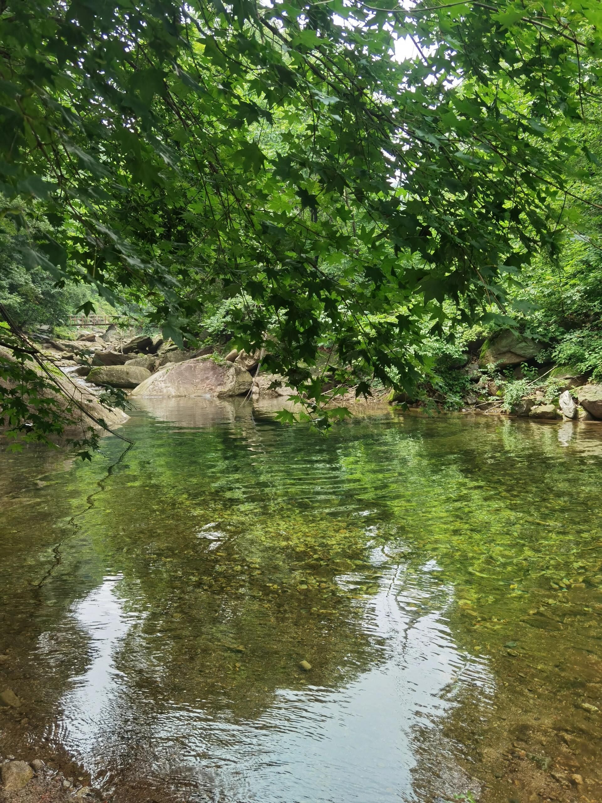 龙潭湾风景区(暂停开放)旅行图片 1
