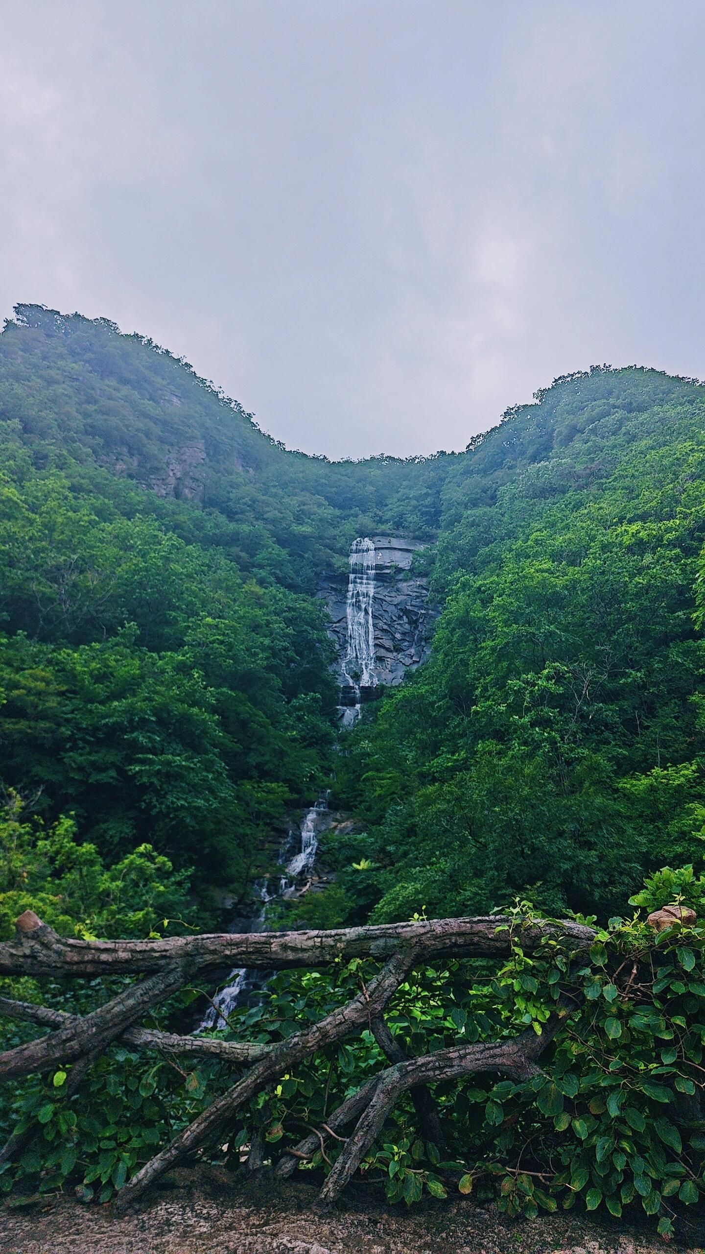龙潭湾风景区(暂停开放)旅行图片 3