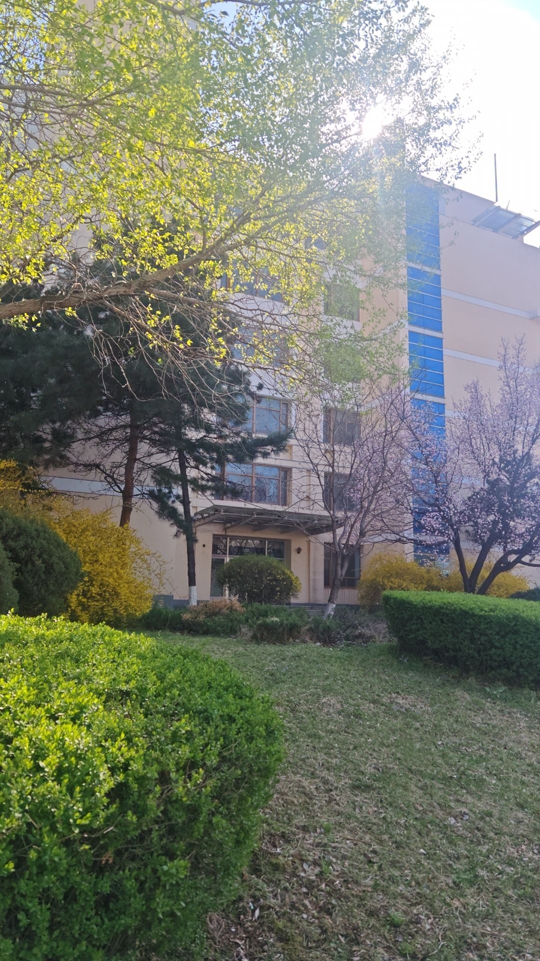 辽宁科技大学理学院