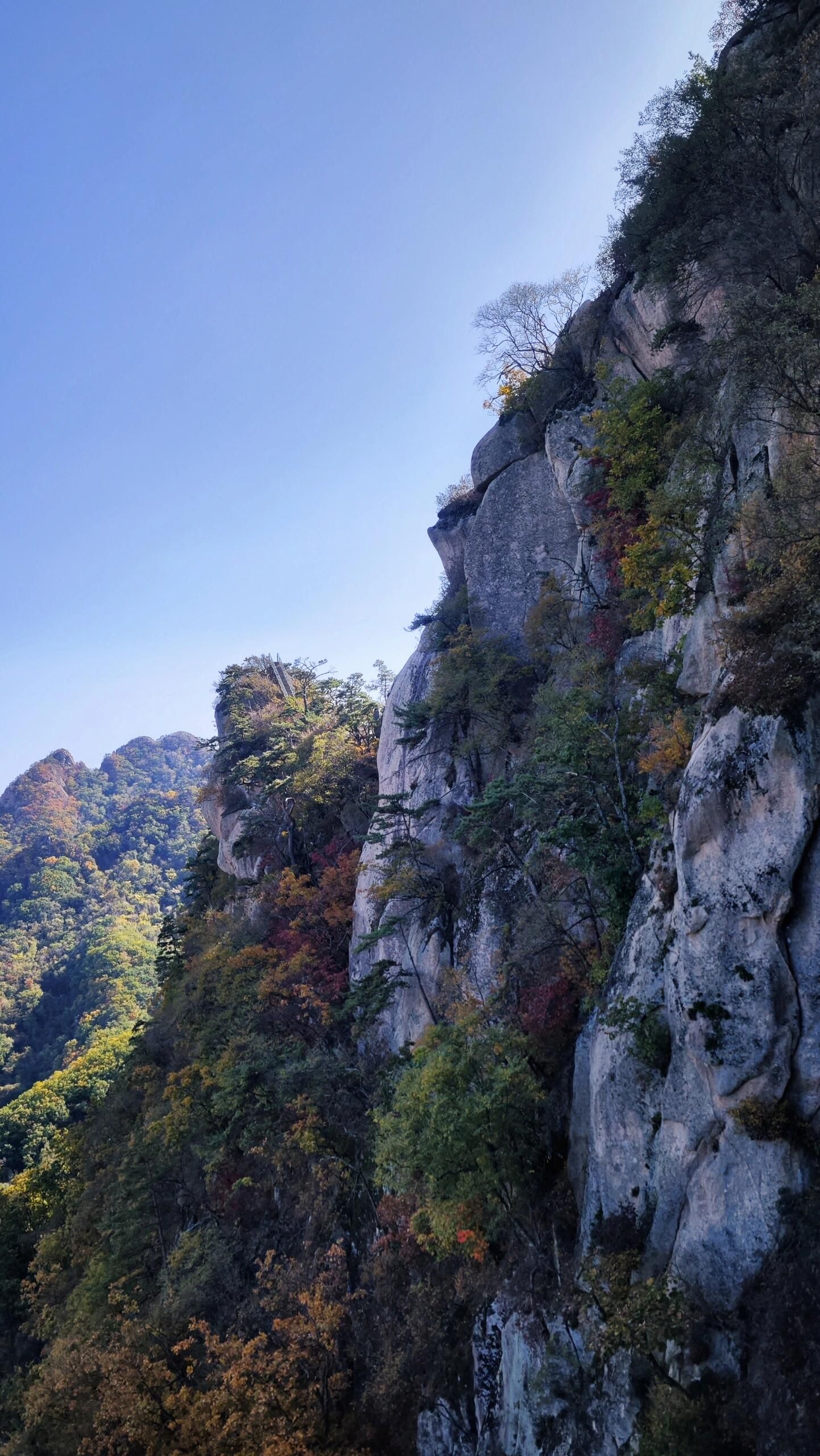 清凉山旅行图片 1