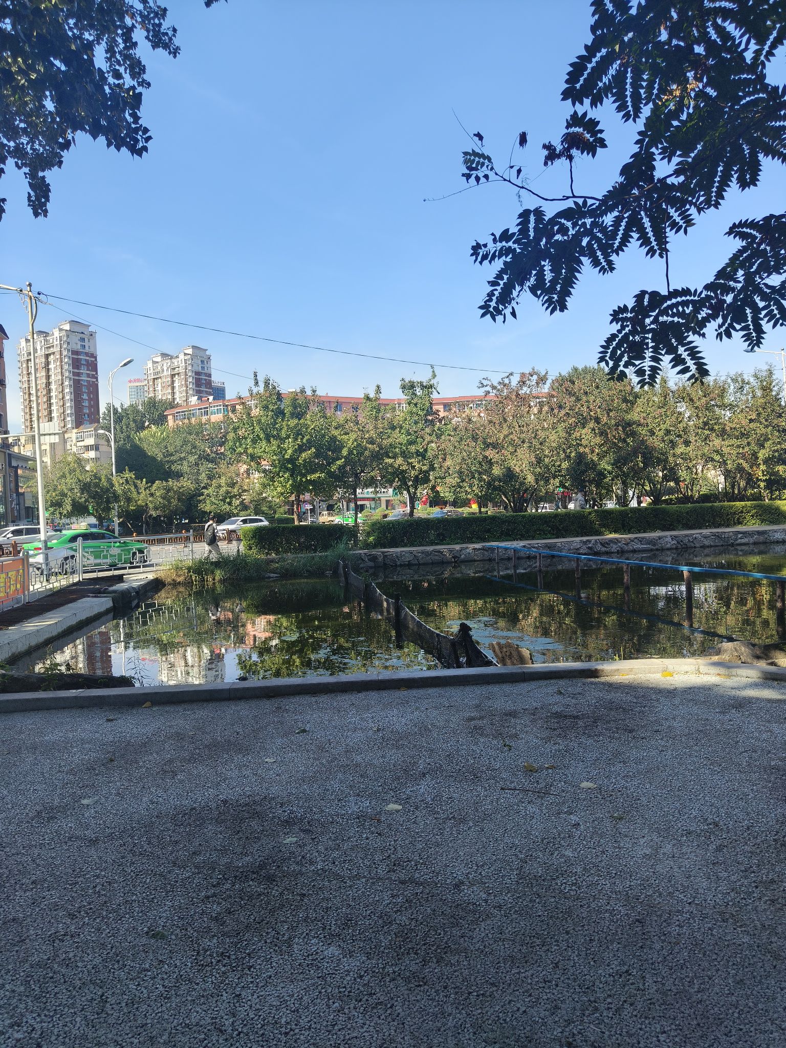 静湖公园旅行图片 3