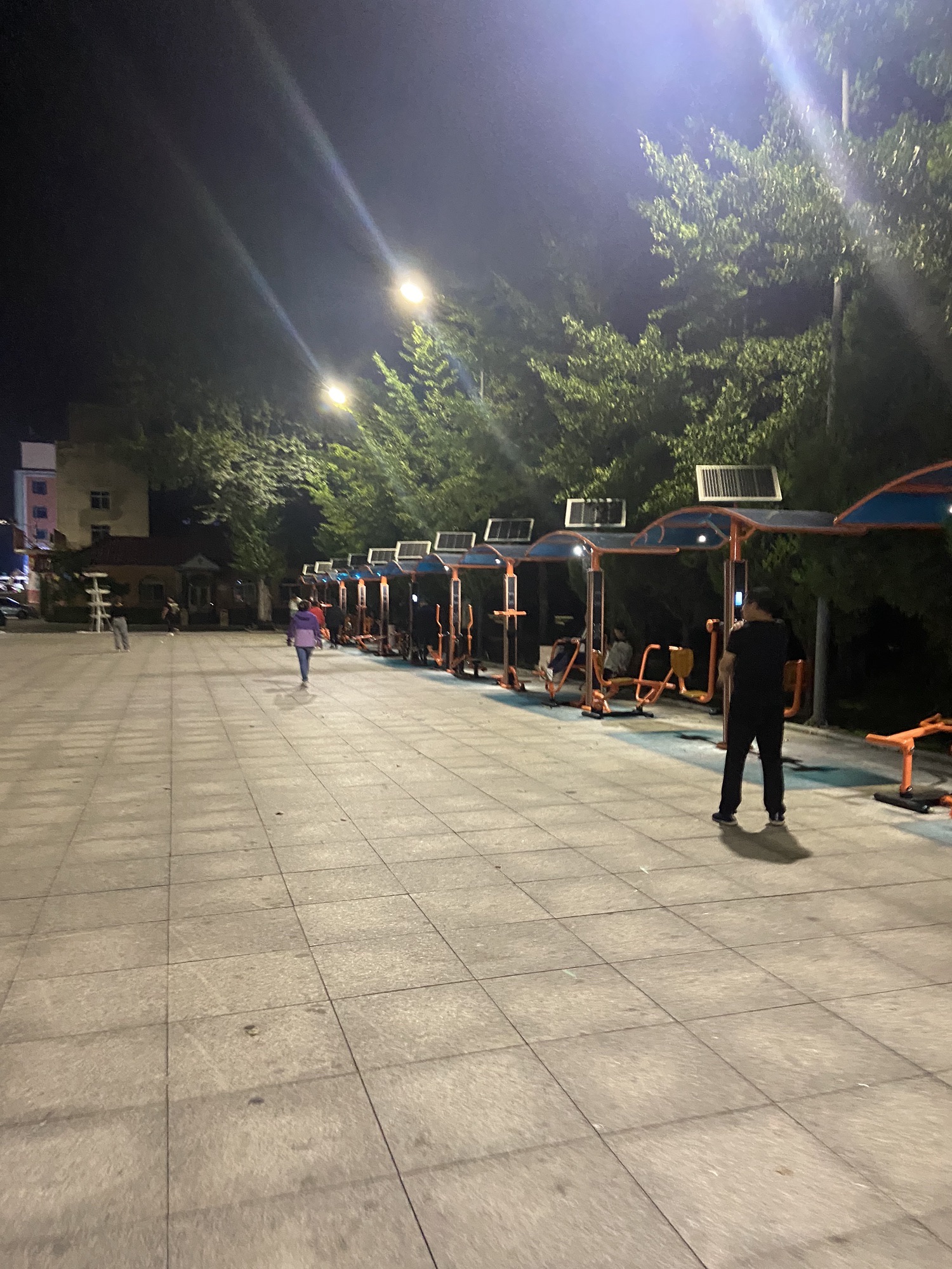 东山公园旅行图片 3
