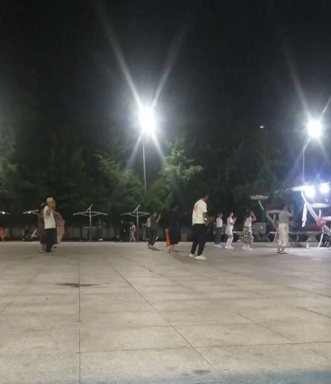 东山公园旅行图片 1