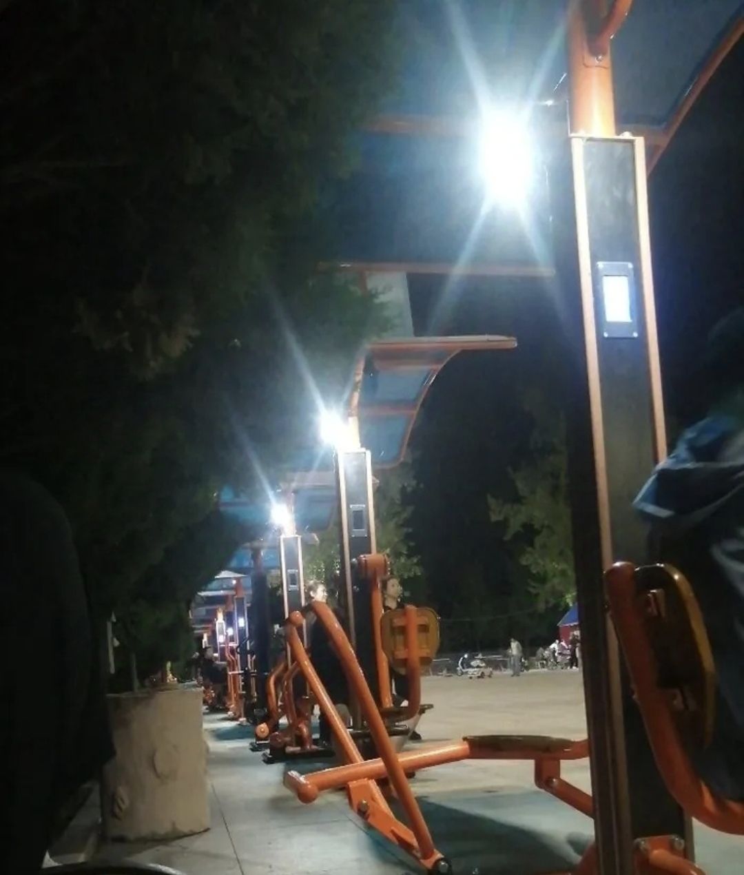 东山公园旅行图片 2
