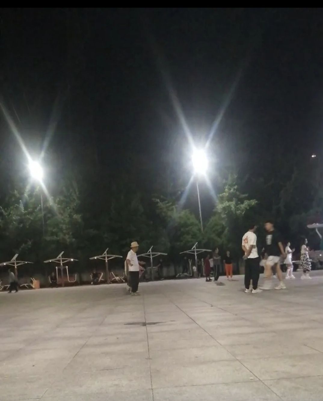 东山公园旅行图片 3