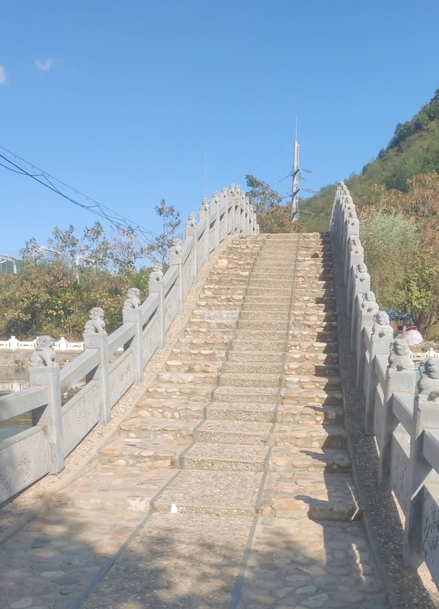 东山公园旅行图片 1