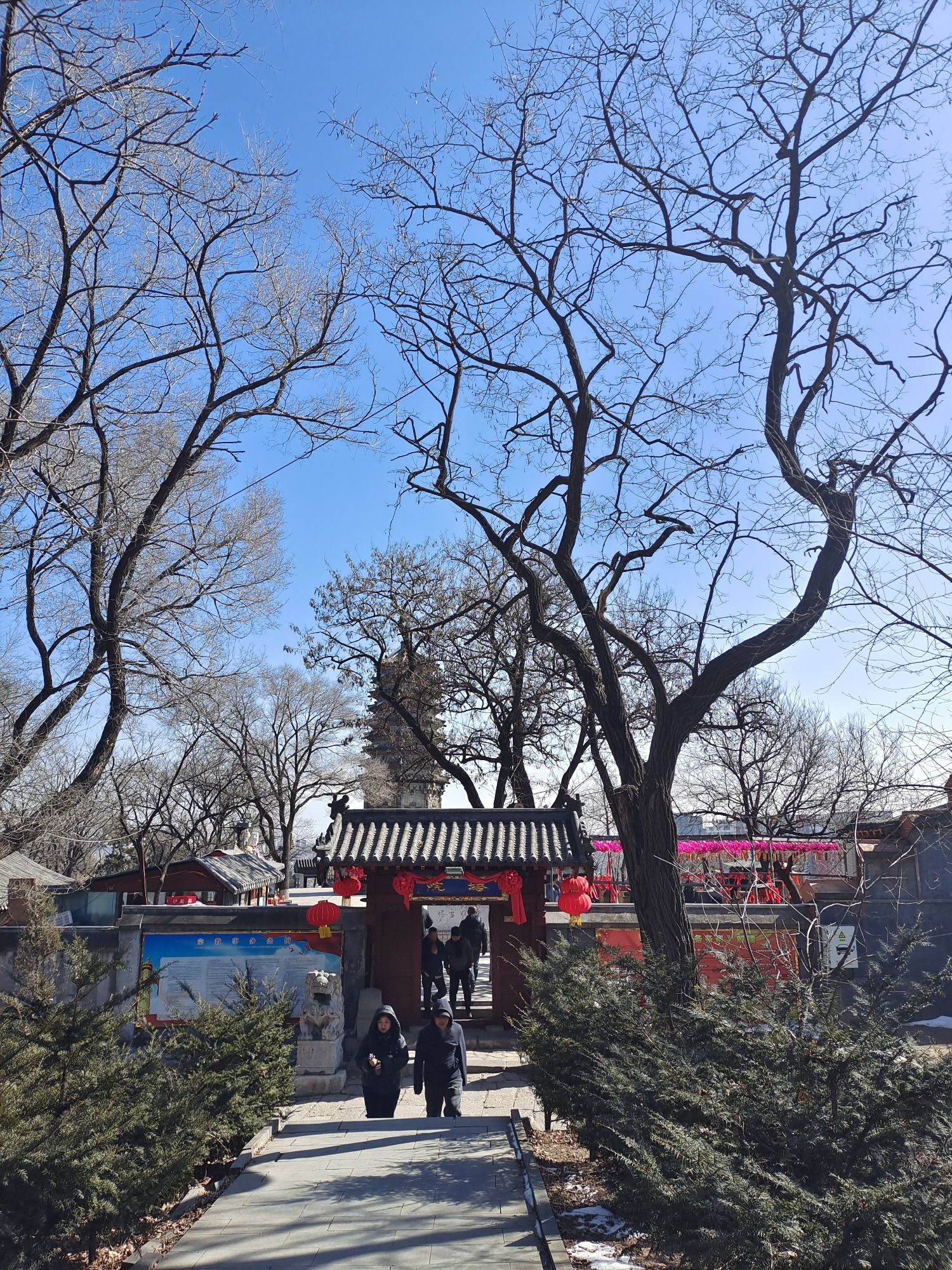 高尔山风景区旅行图片 3