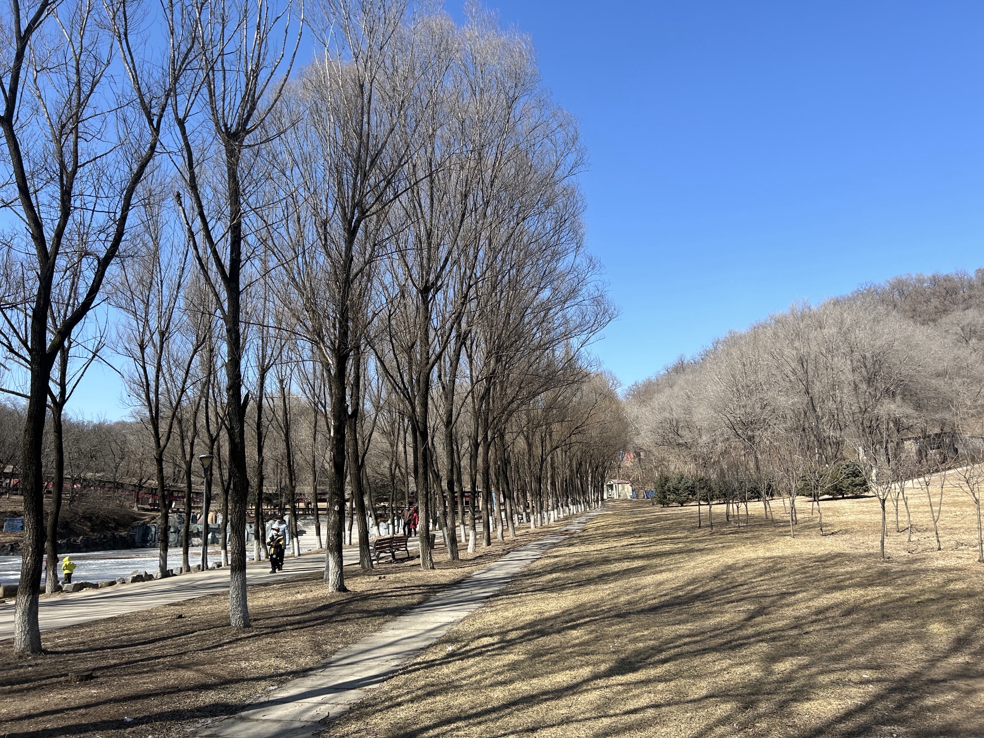 高尔山风景区旅行图片 2