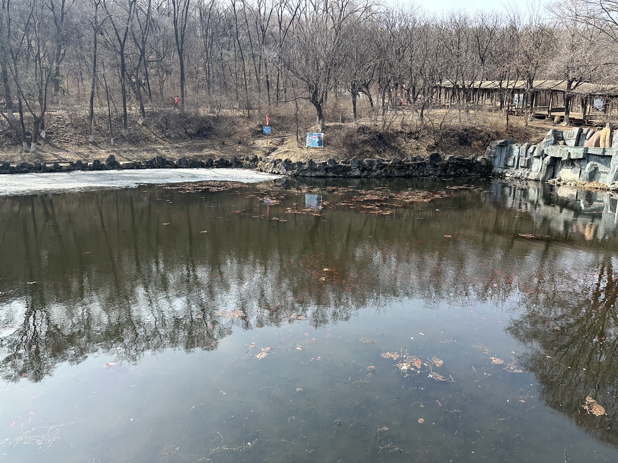 高尔山风景区旅行图片 2