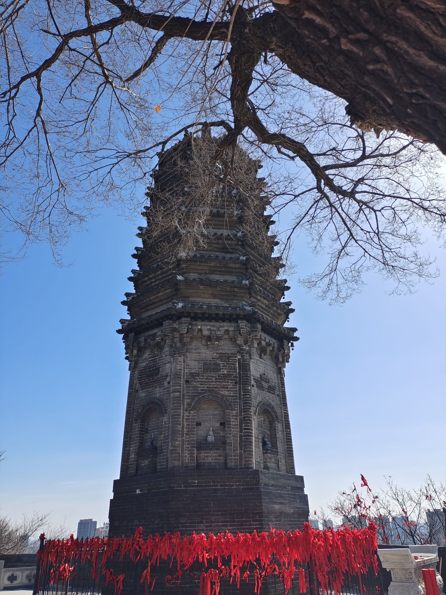 高尔山风景区旅行图片 2