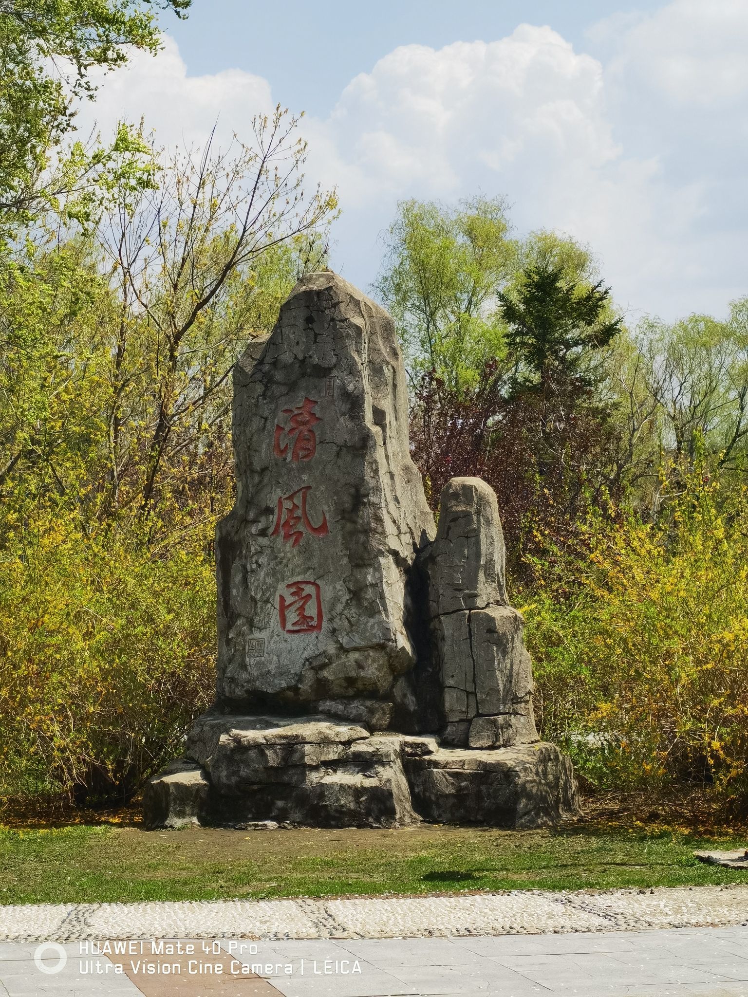新屯公园旅行图片 1