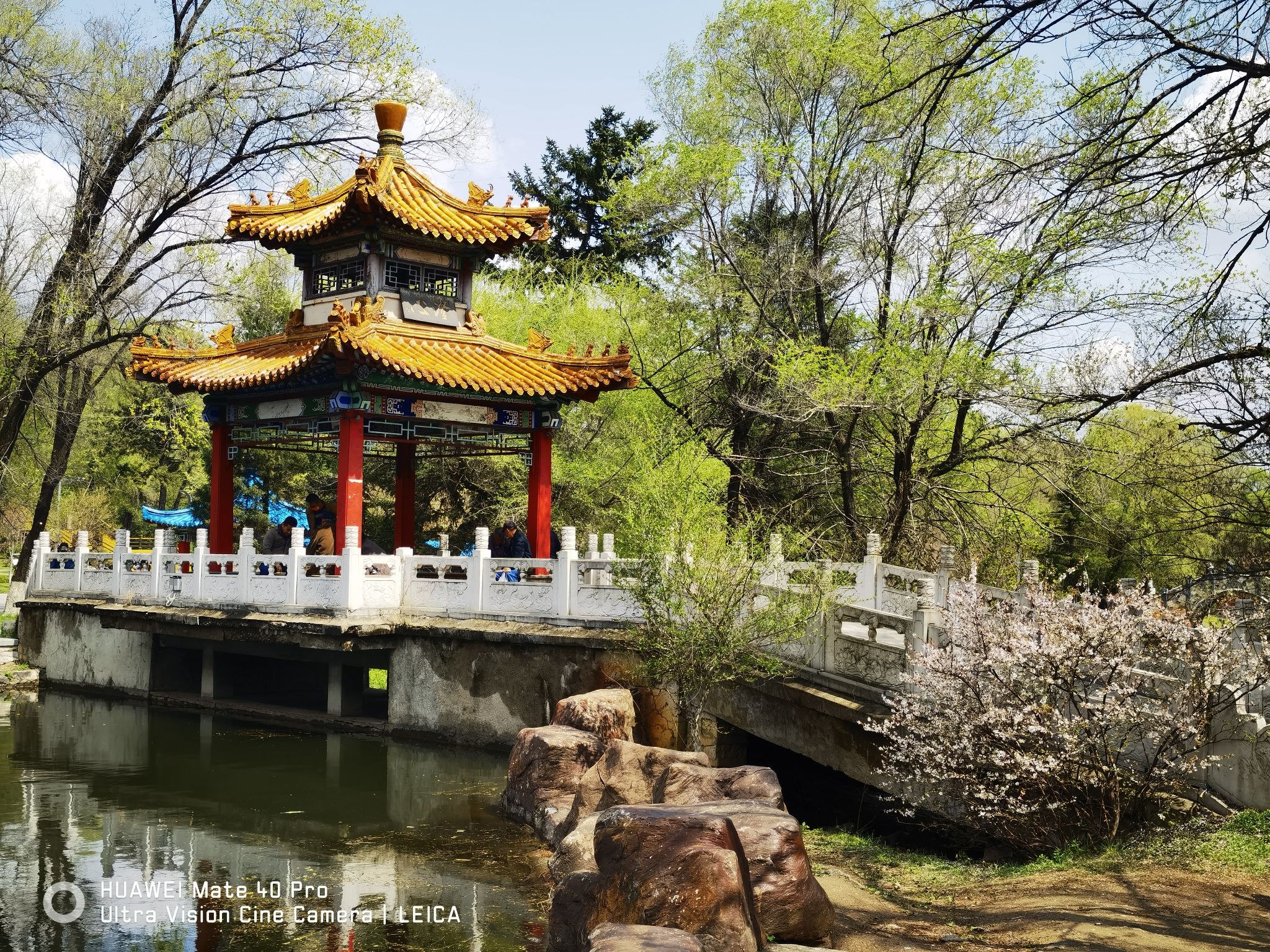 新屯公园旅行图片 3