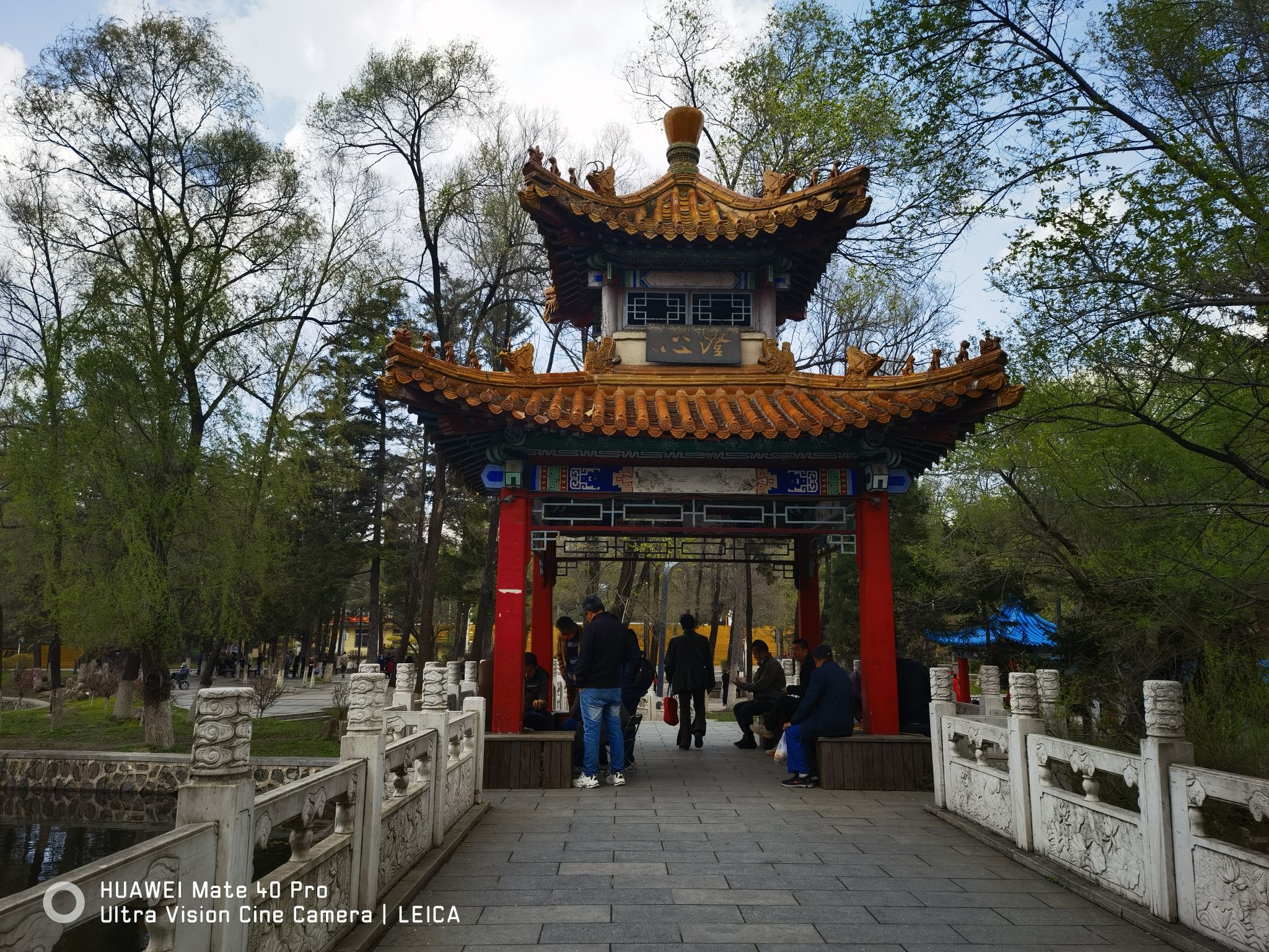 新屯公园旅行图片 2