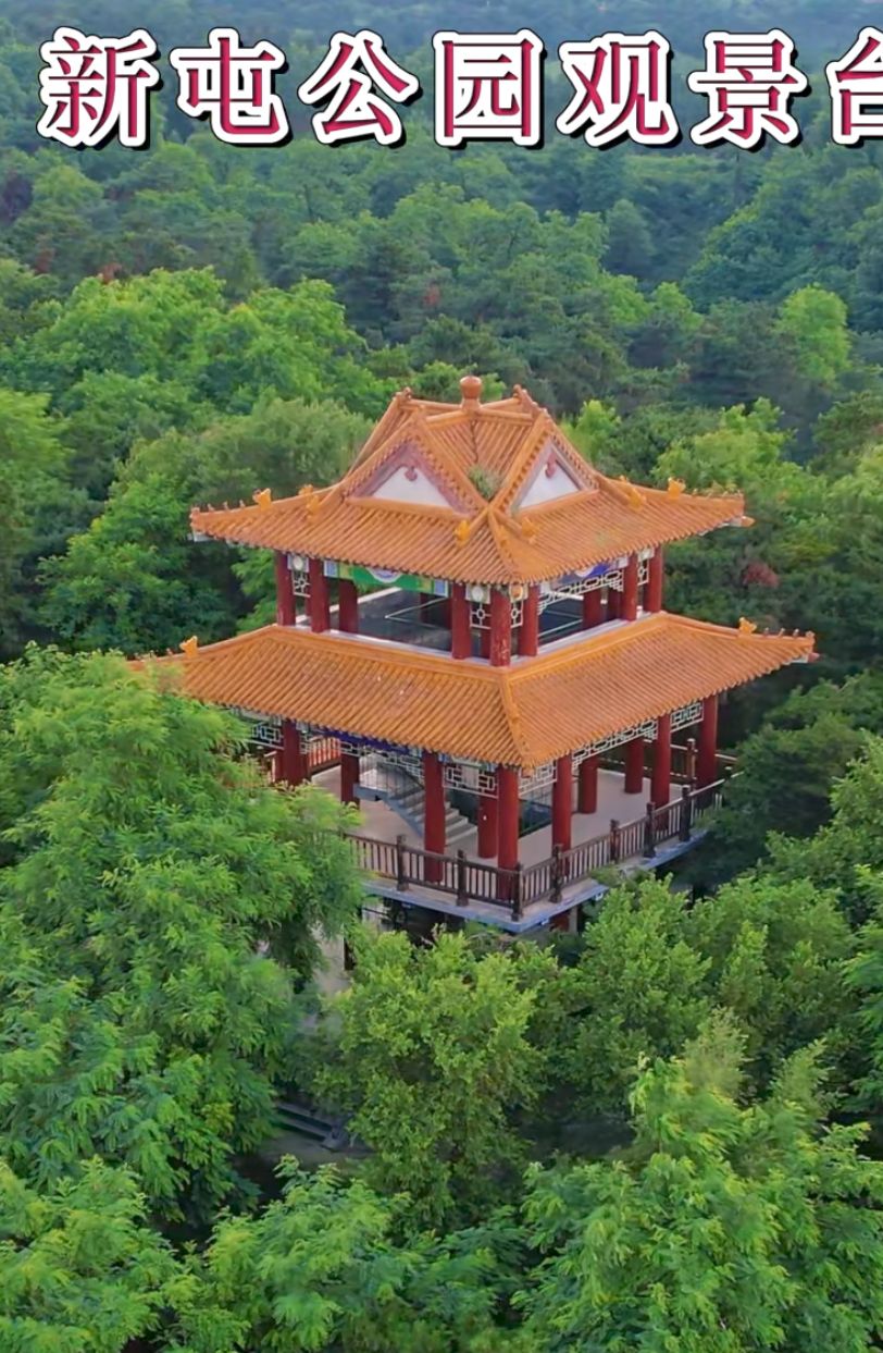 新屯公园旅行图片 2