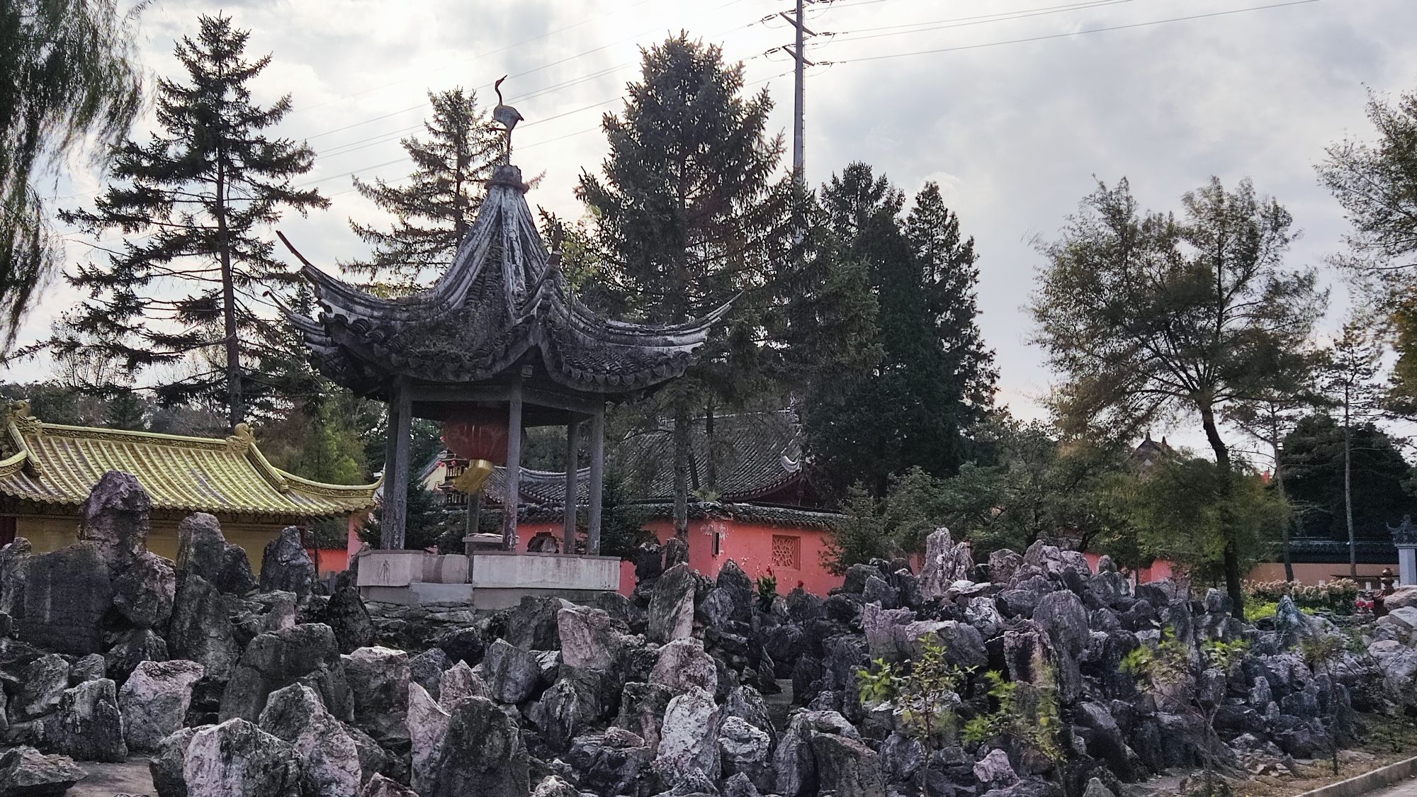 新屯公园旅行图片 1