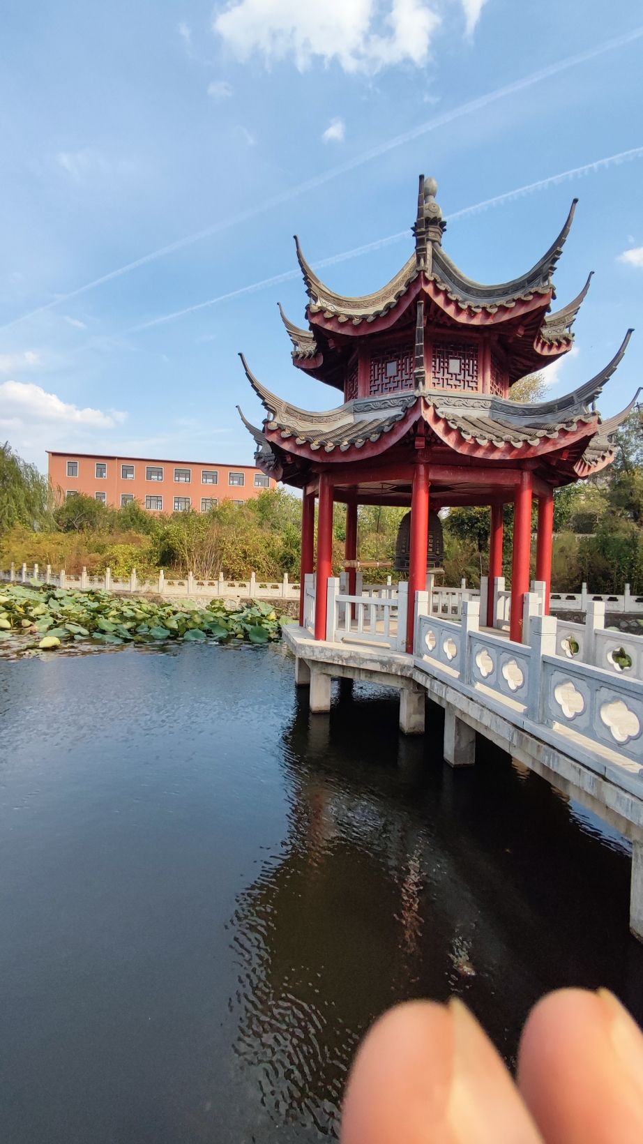 新屯公园旅行图片 2