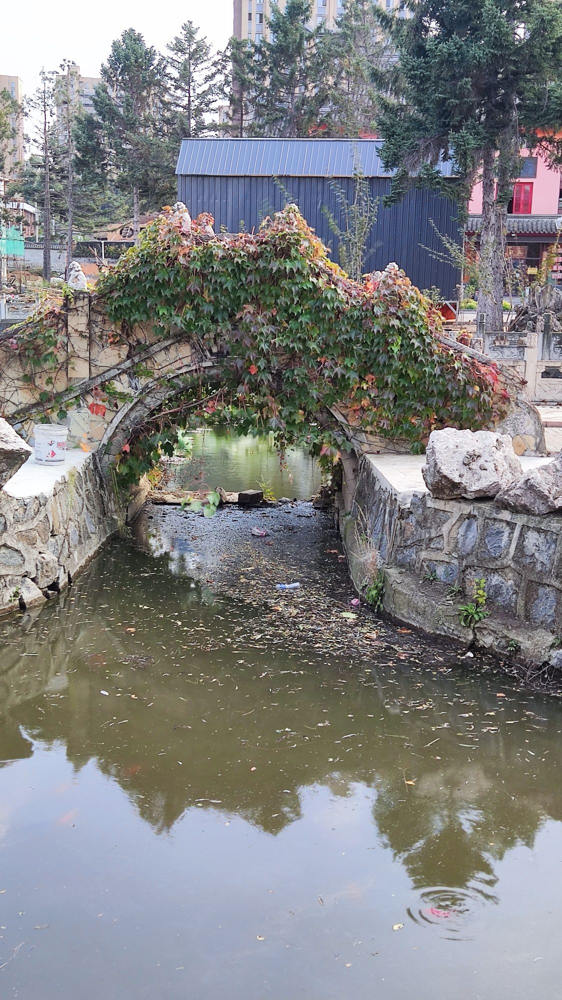新屯公园旅行图片 3