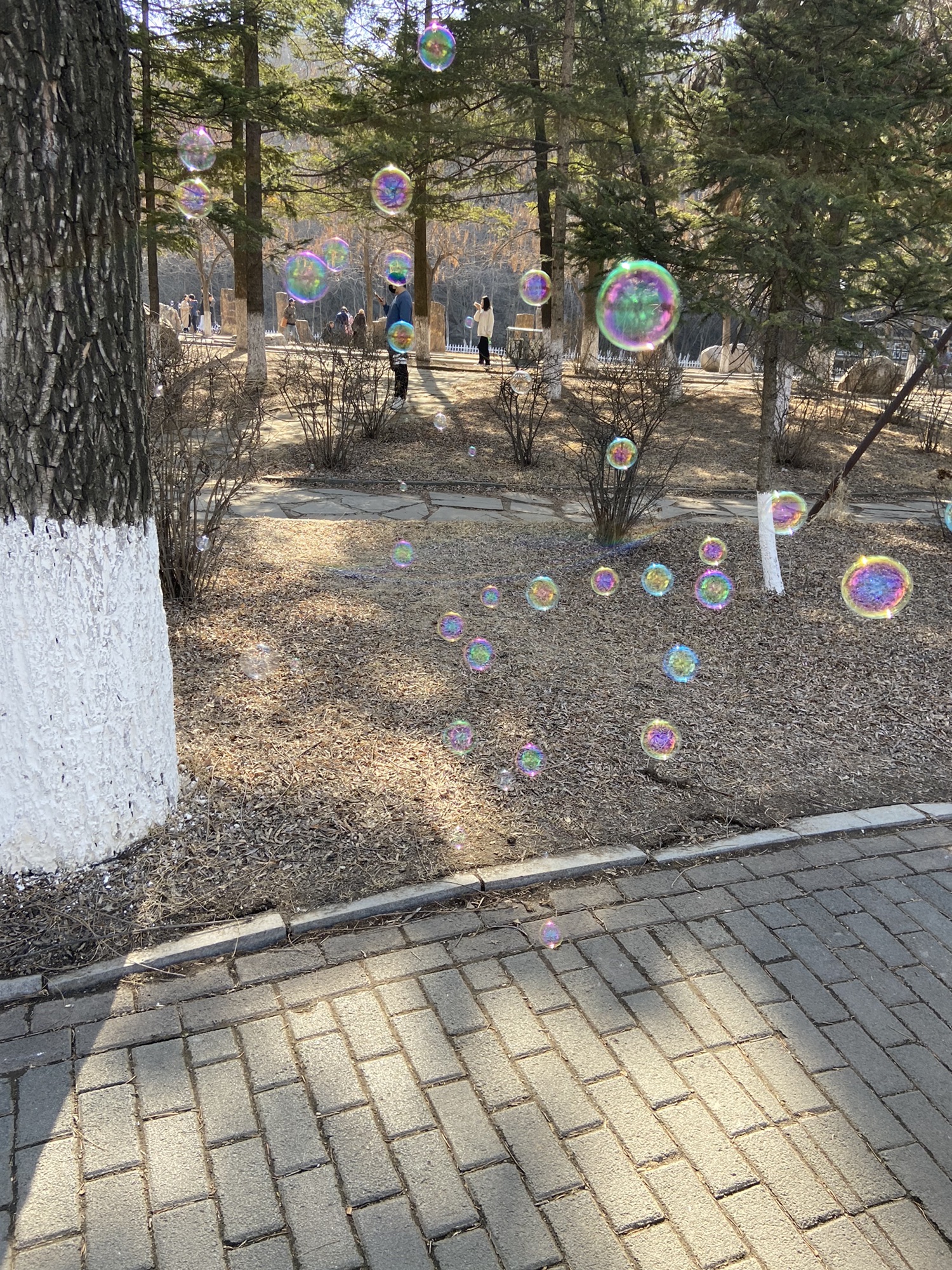 抚顺市劳动公园旅行图片 3