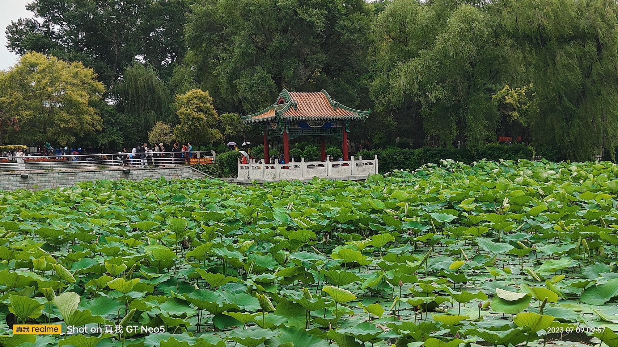 抚顺市劳动公园旅行图片 2