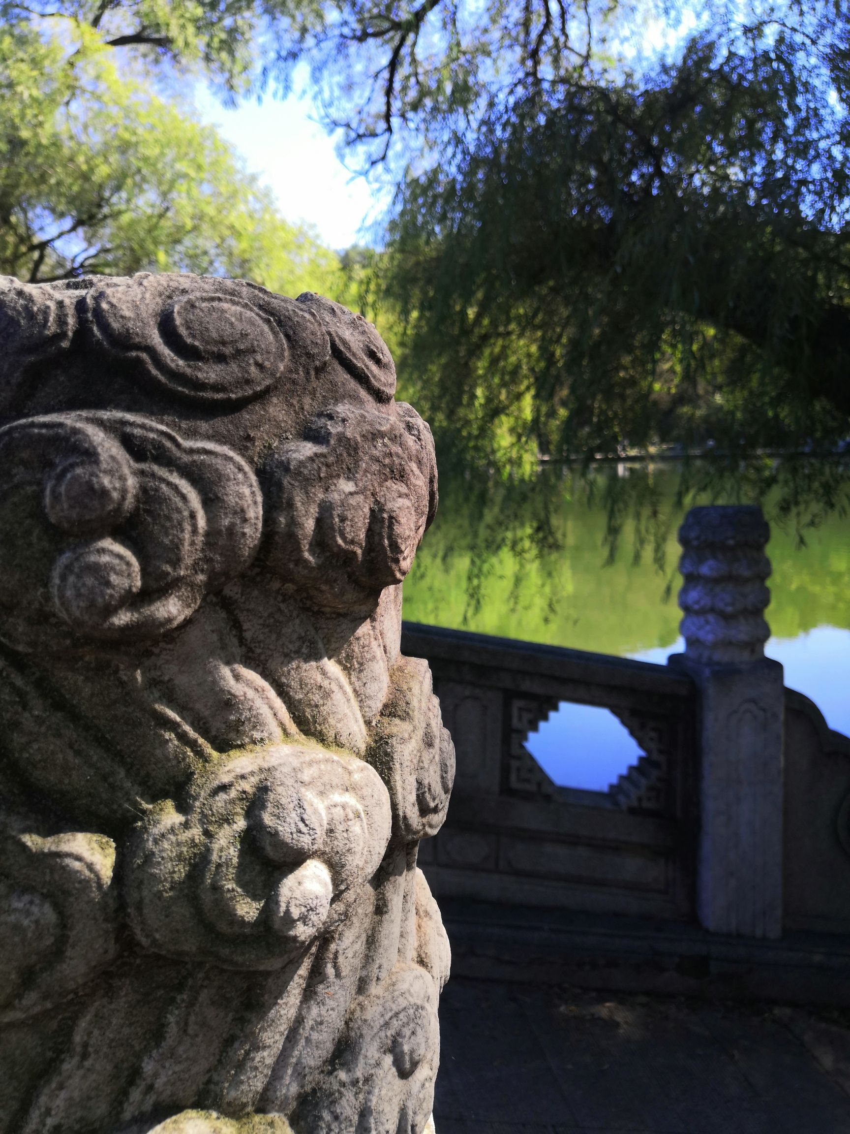 抚顺市劳动公园旅行图片 3