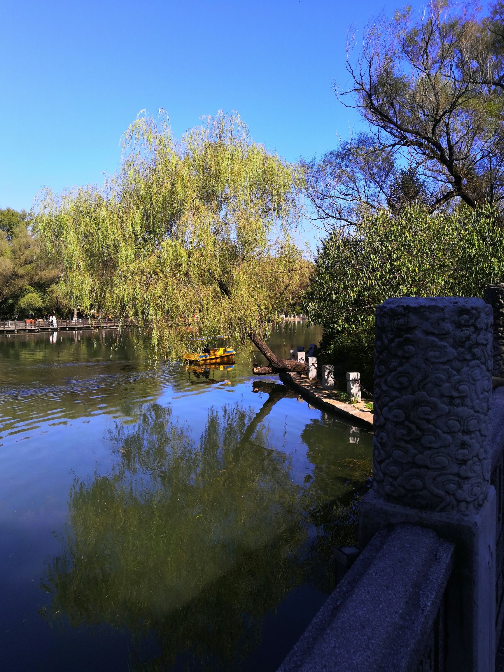 抚顺市劳动公园旅行图片 2