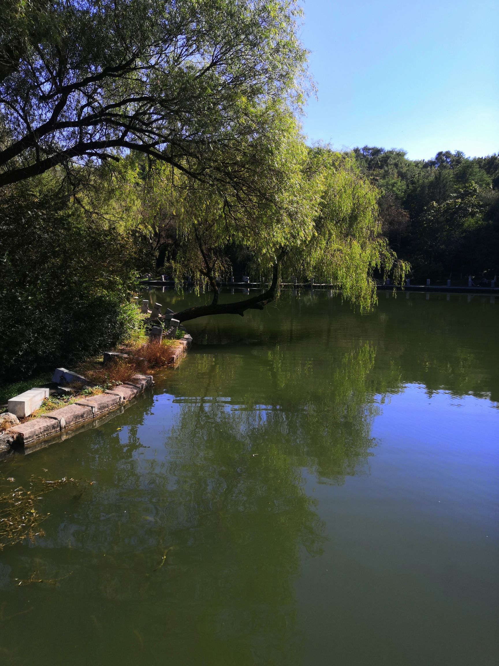 抚顺市劳动公园旅行图片 1