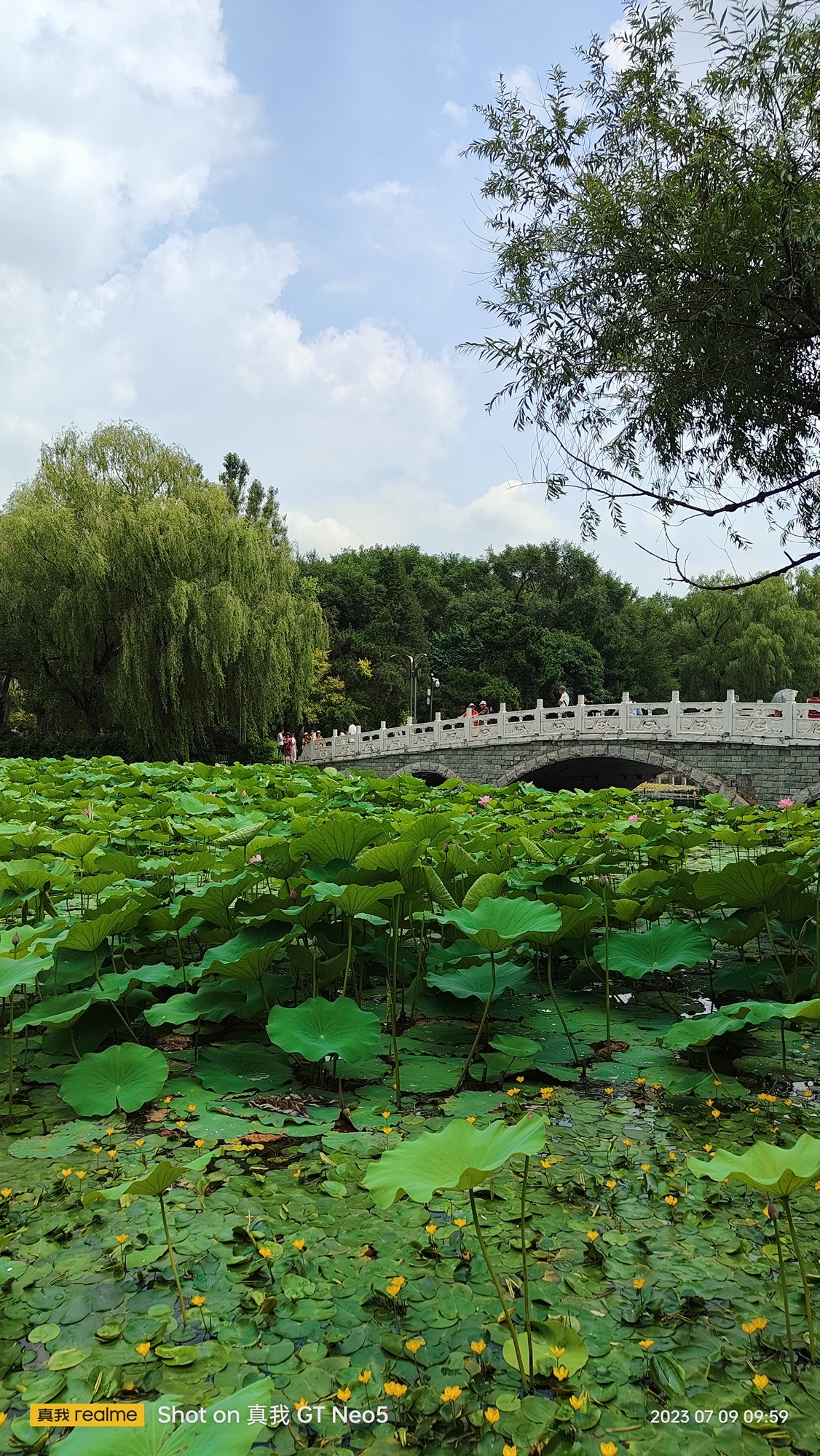 抚顺市劳动公园旅行图片 1