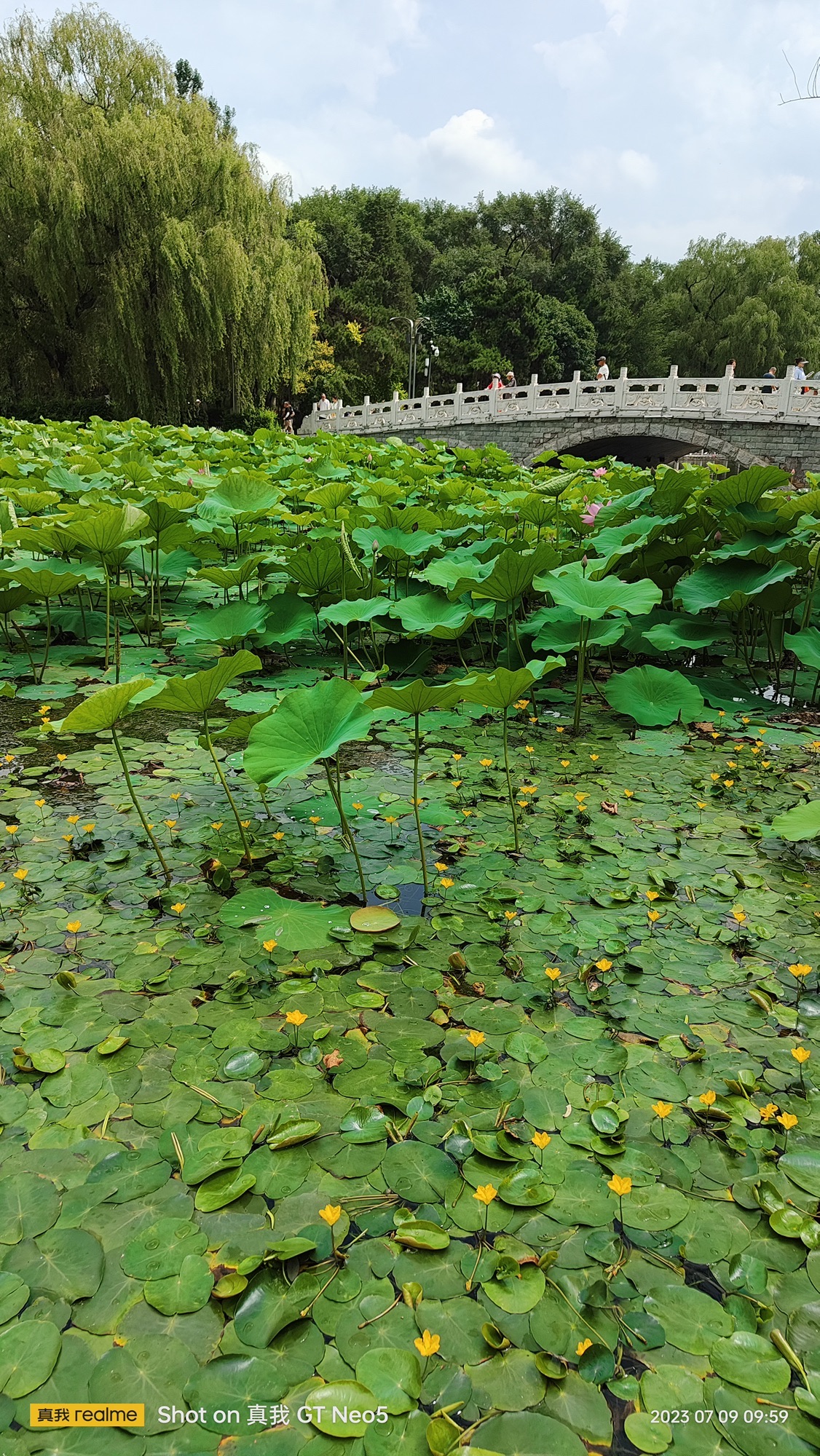 抚顺市劳动公园旅行图片 3