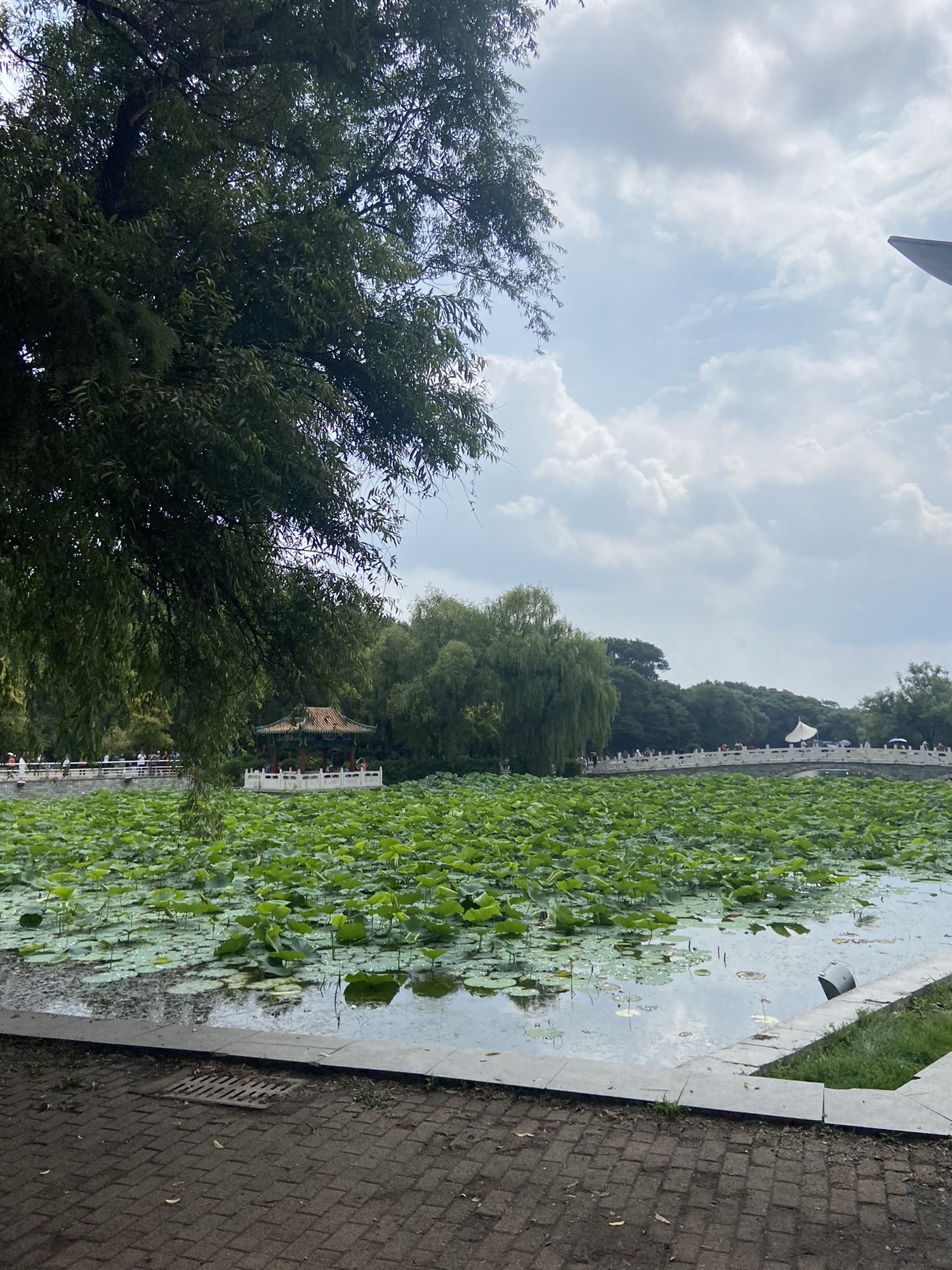 抚顺市劳动公园旅行图片 1
