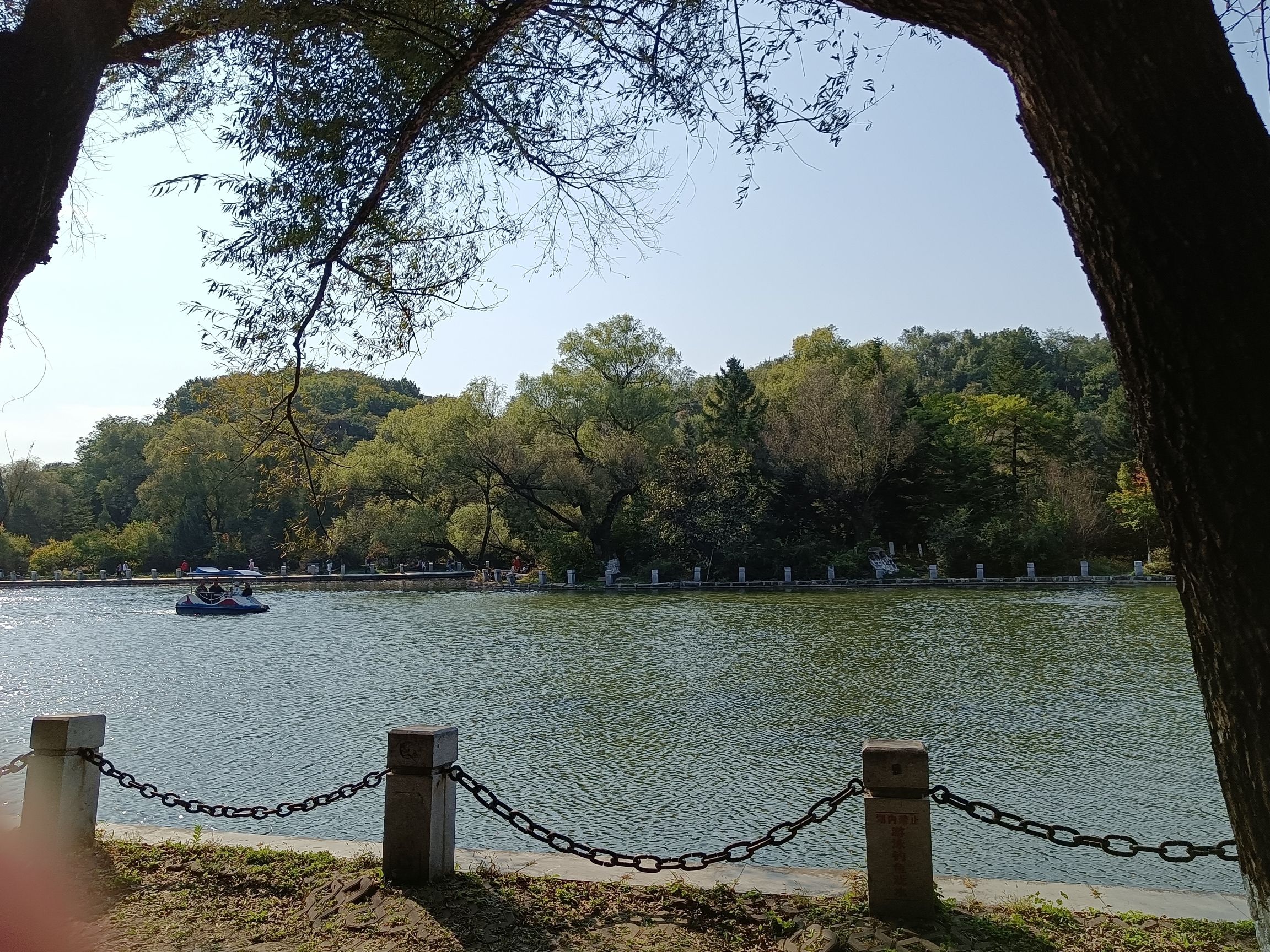 抚顺市劳动公园旅行图片 1