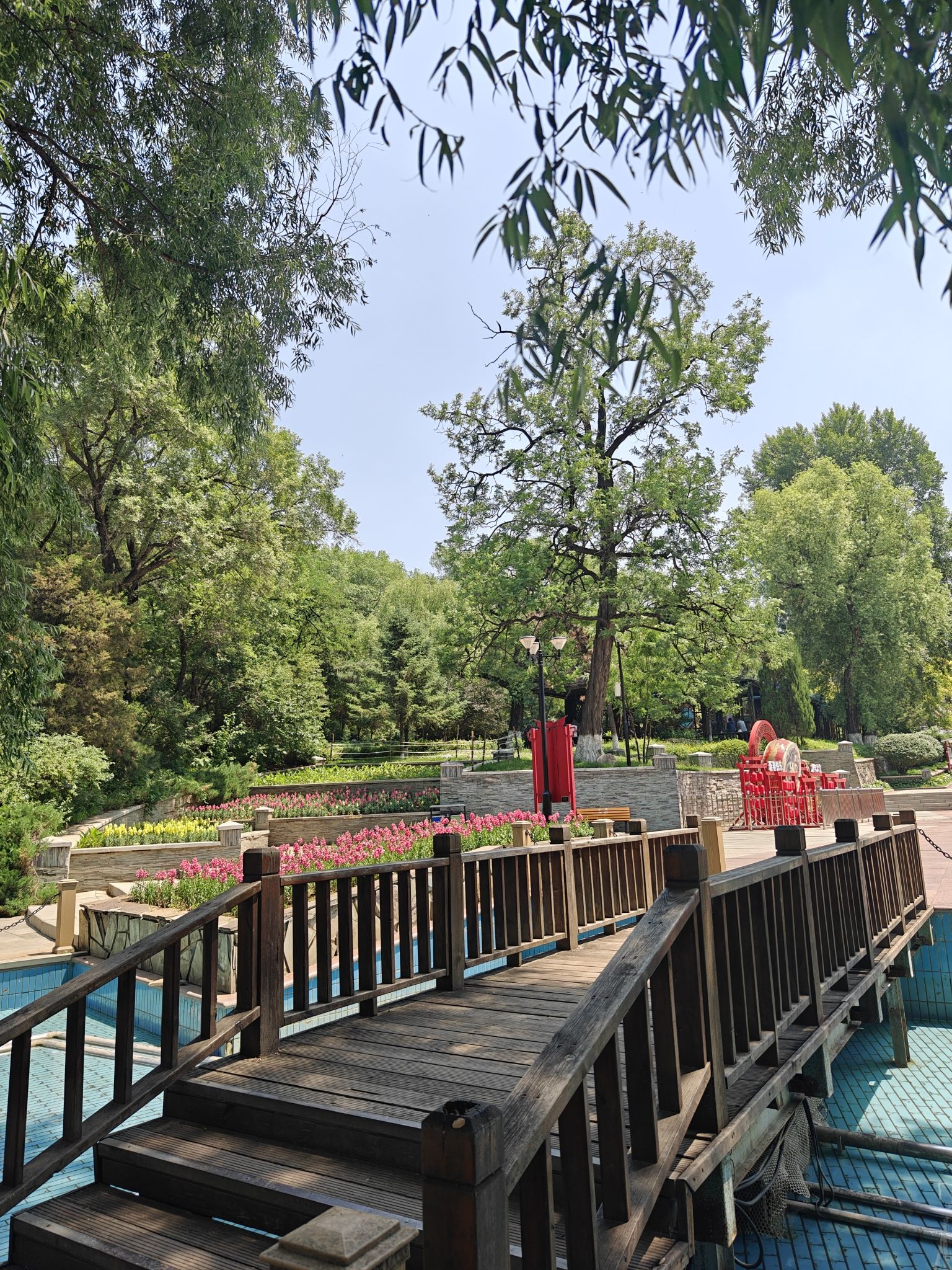 儿童公园旅行图片 2