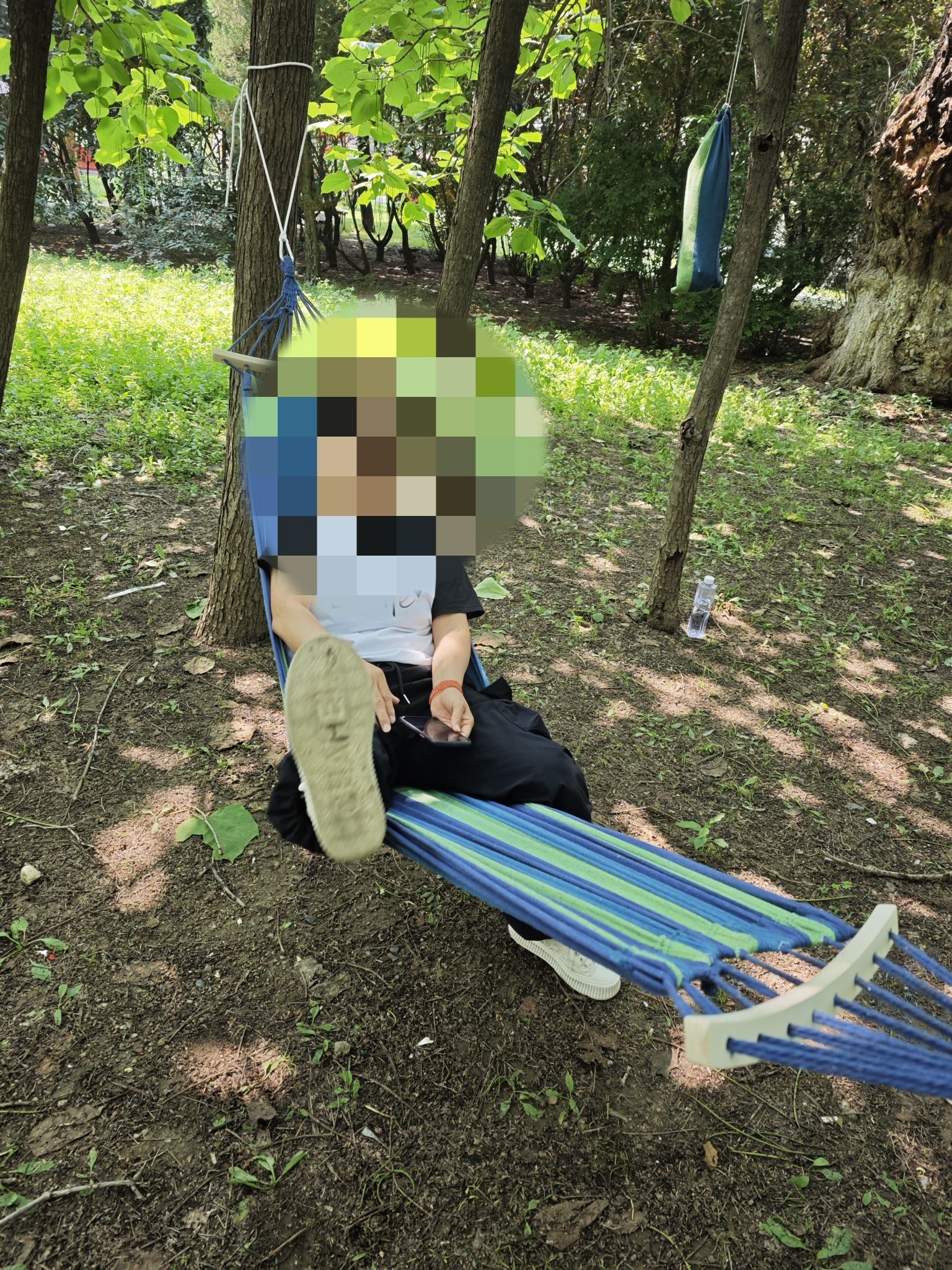 东林公园旅行图片 2