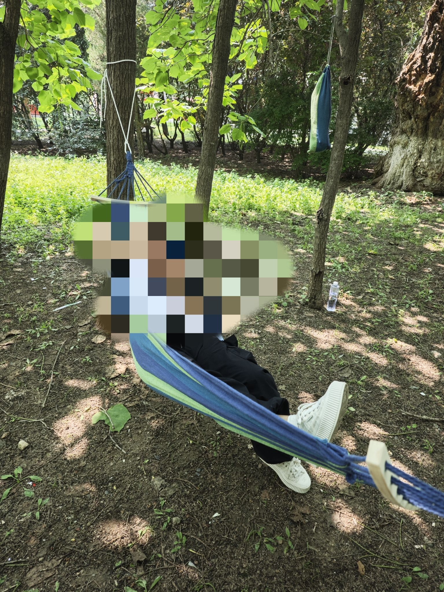 东林公园旅行图片 3
